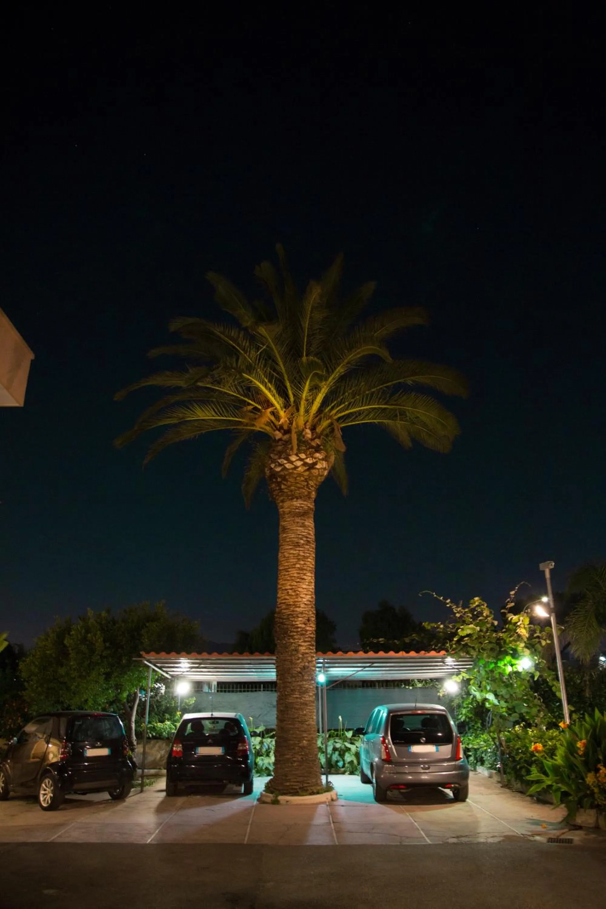 Garden view in B&B Villa Gaudium