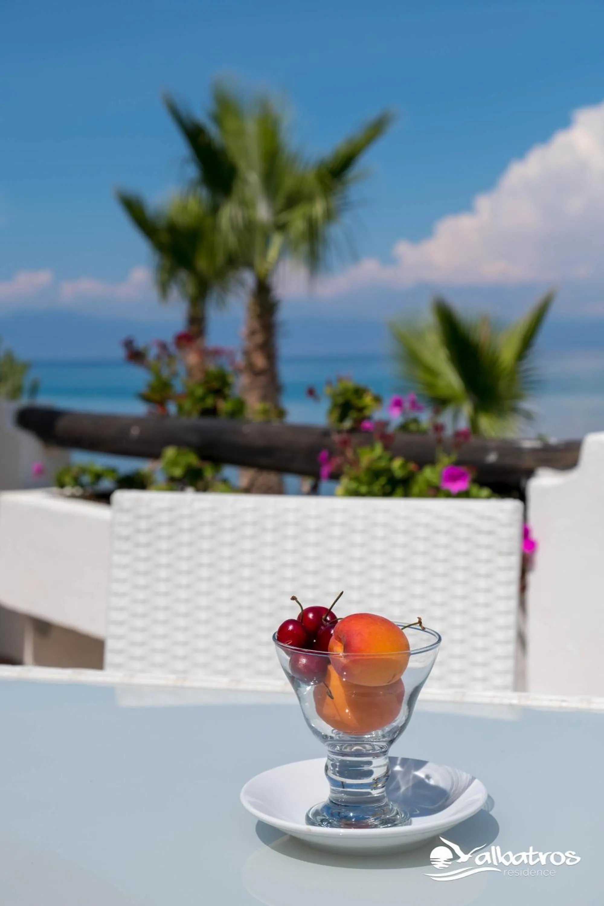 Balcony/Terrace in Residence Albatros