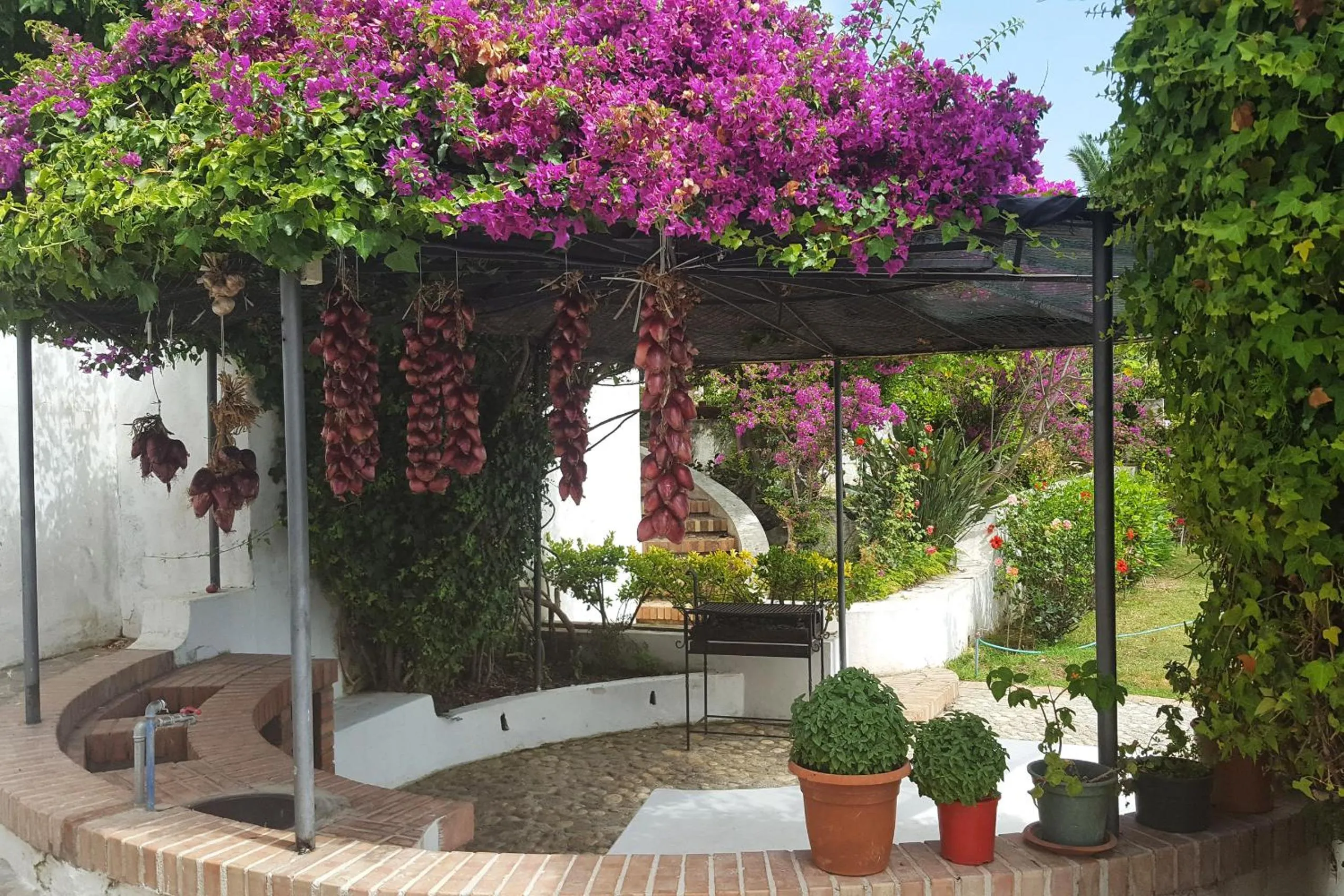 Property building in Residence Albatros