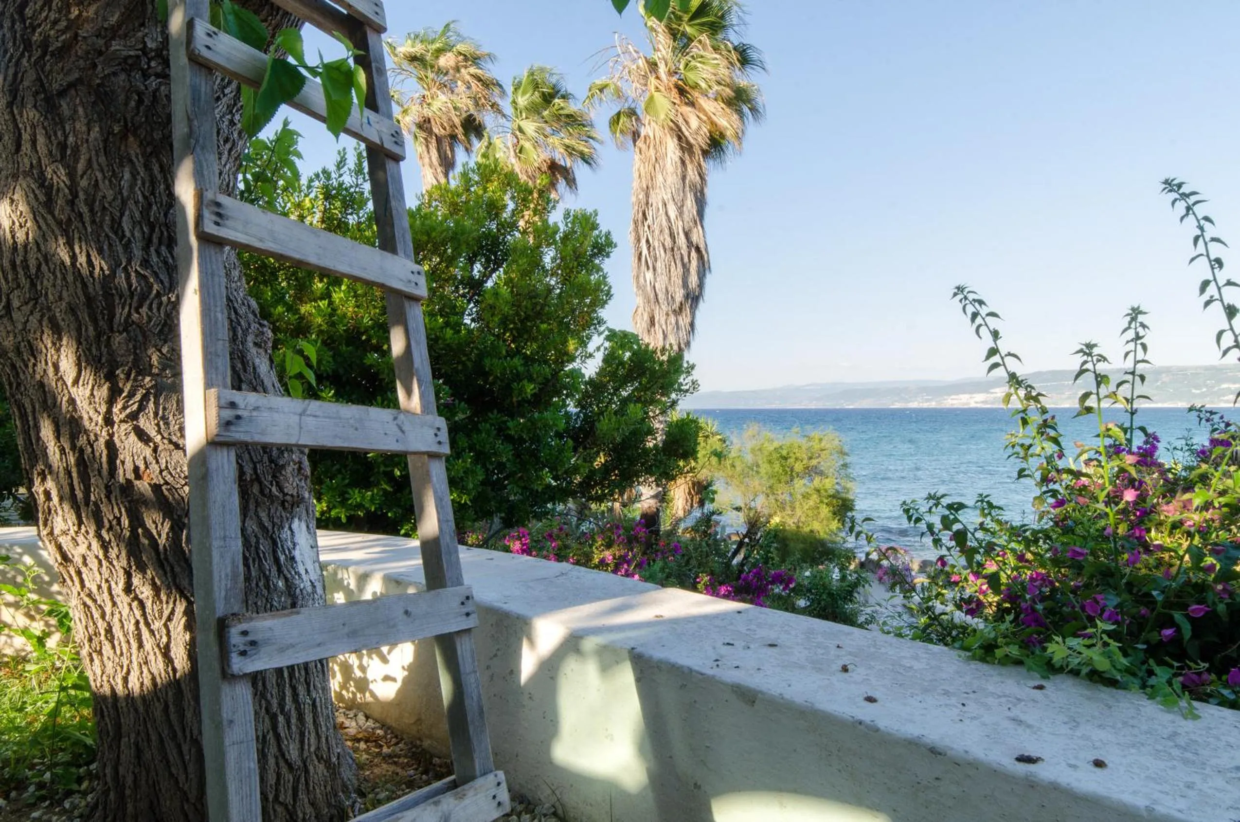 Property building in Residence Albatros