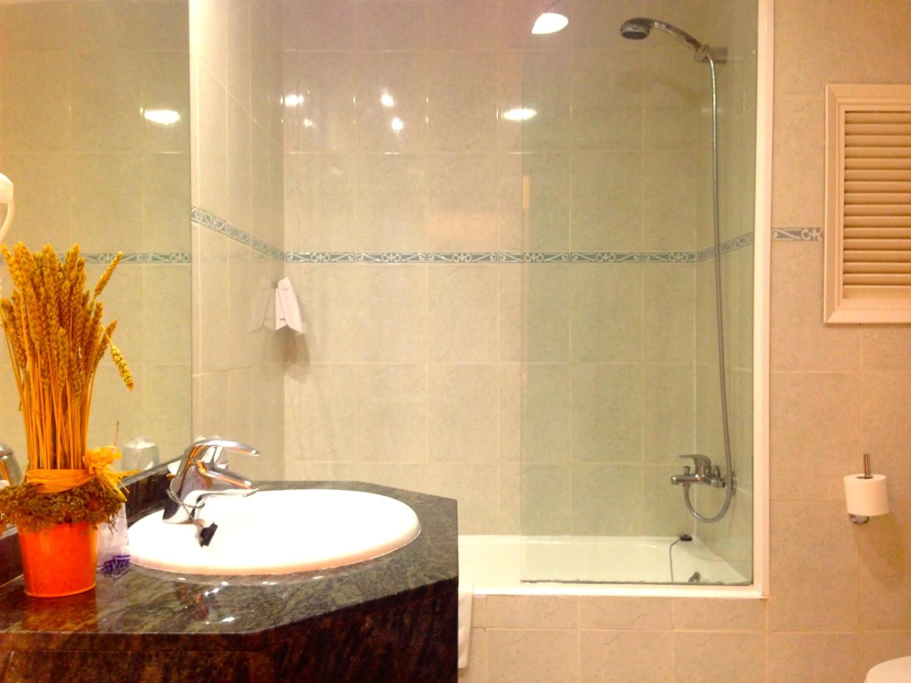 Toilet in Hotel Nereida