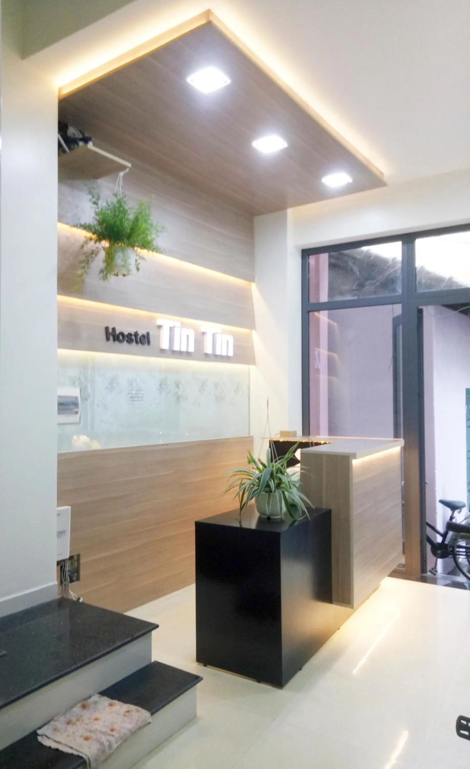 Spring in Tin Tin Hue Hostel