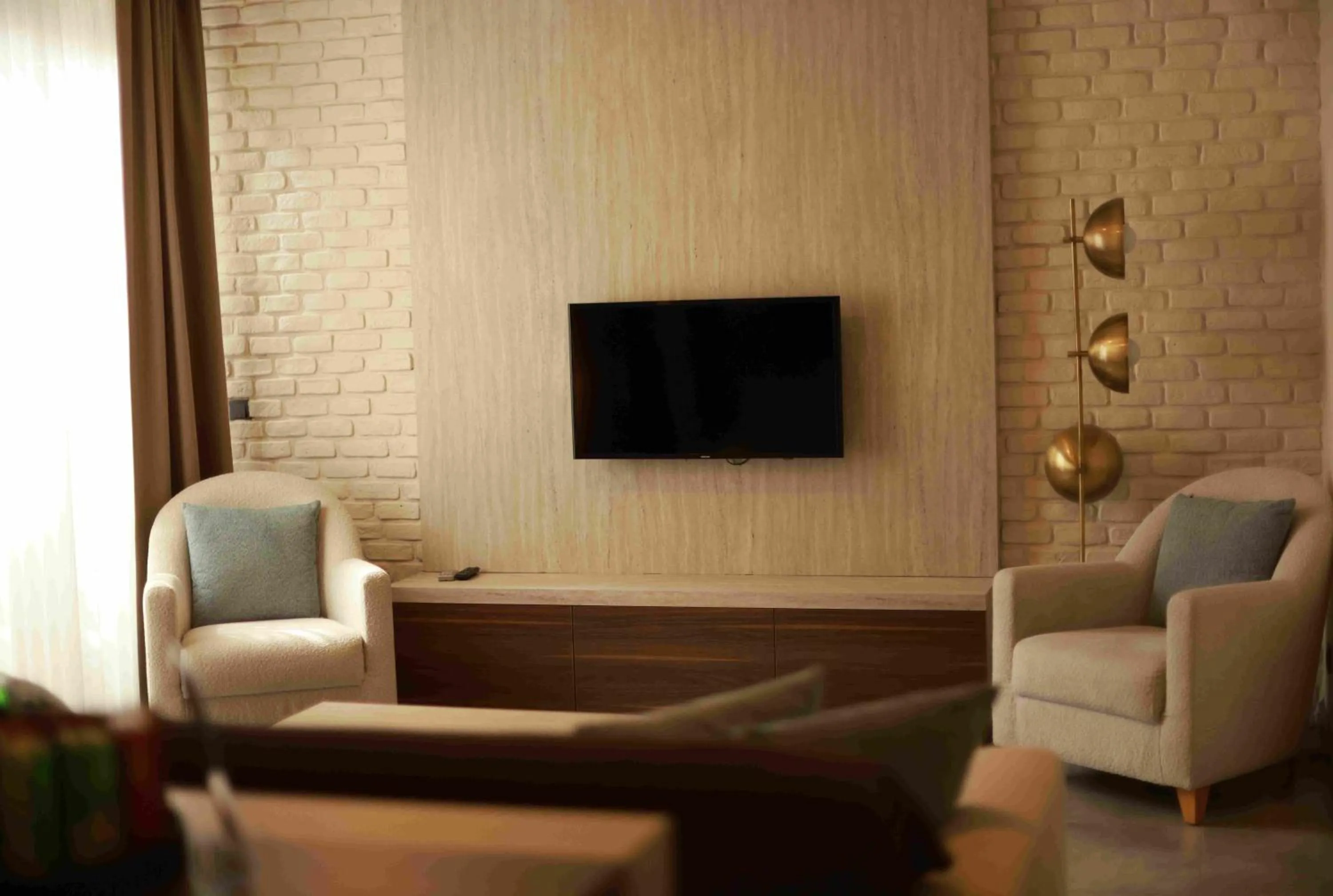 TV and multimedia in Loft 1502