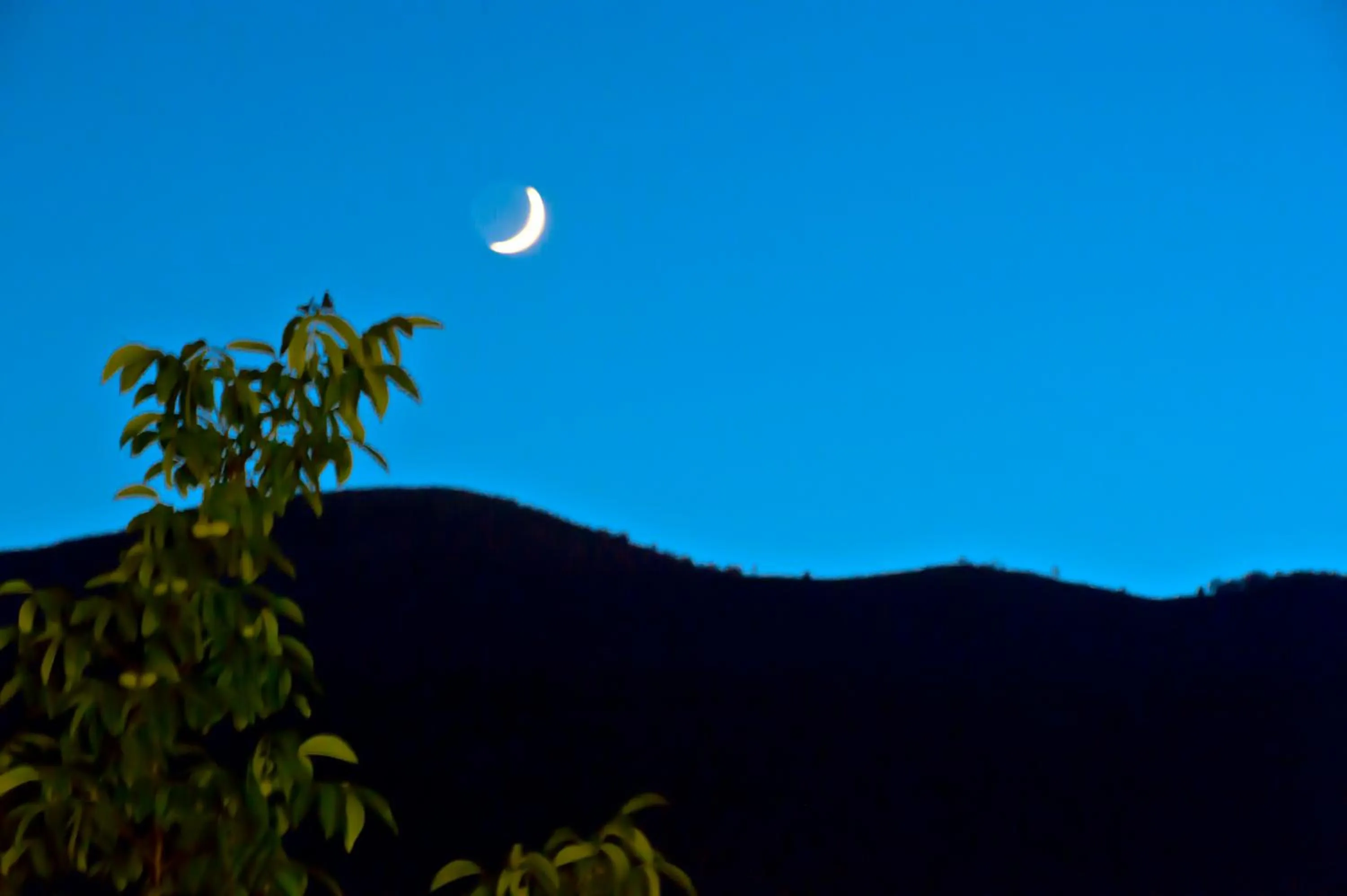 Garden view in B&B Casanova