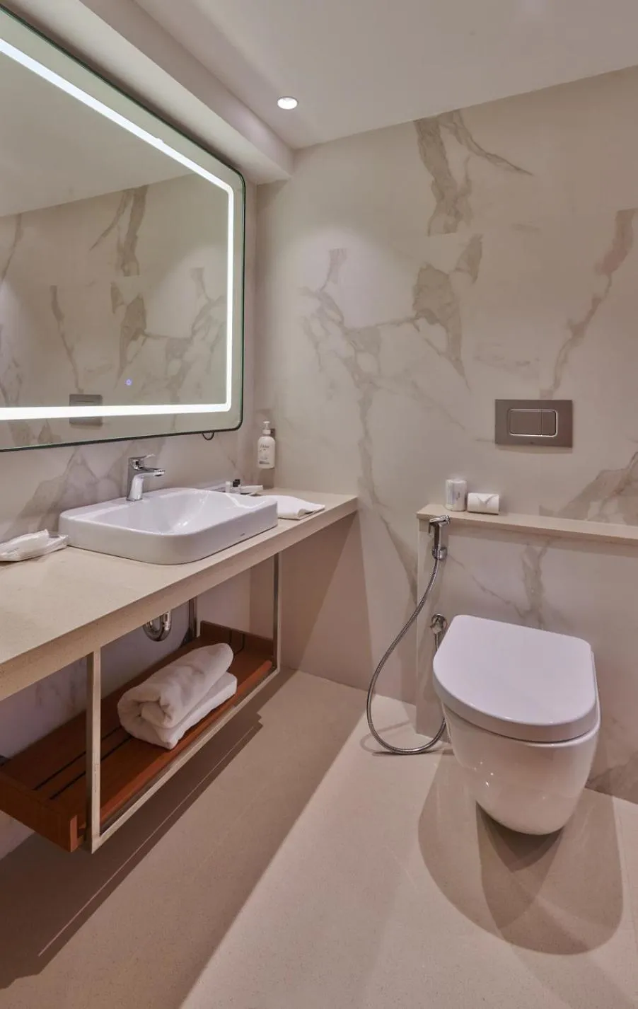 Toilet in Hotel Residency Andheri