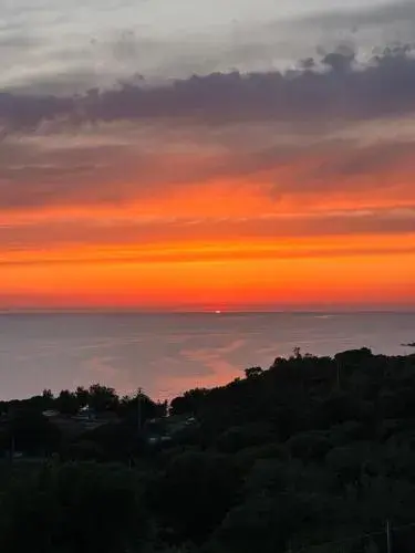 Dimora degli Ulivi Dimora degli Ulivi