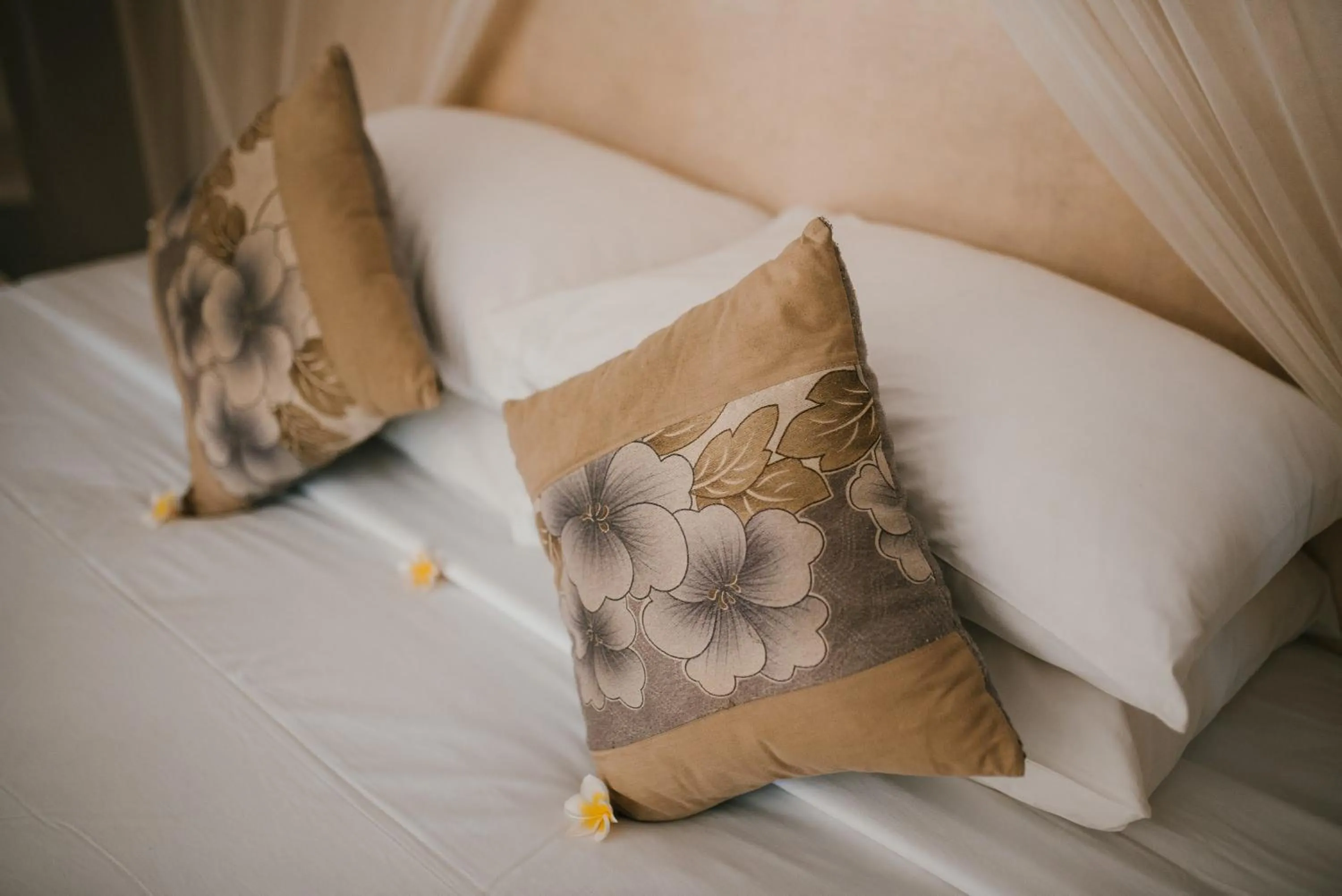 Bed in Le Nusa Beach Club