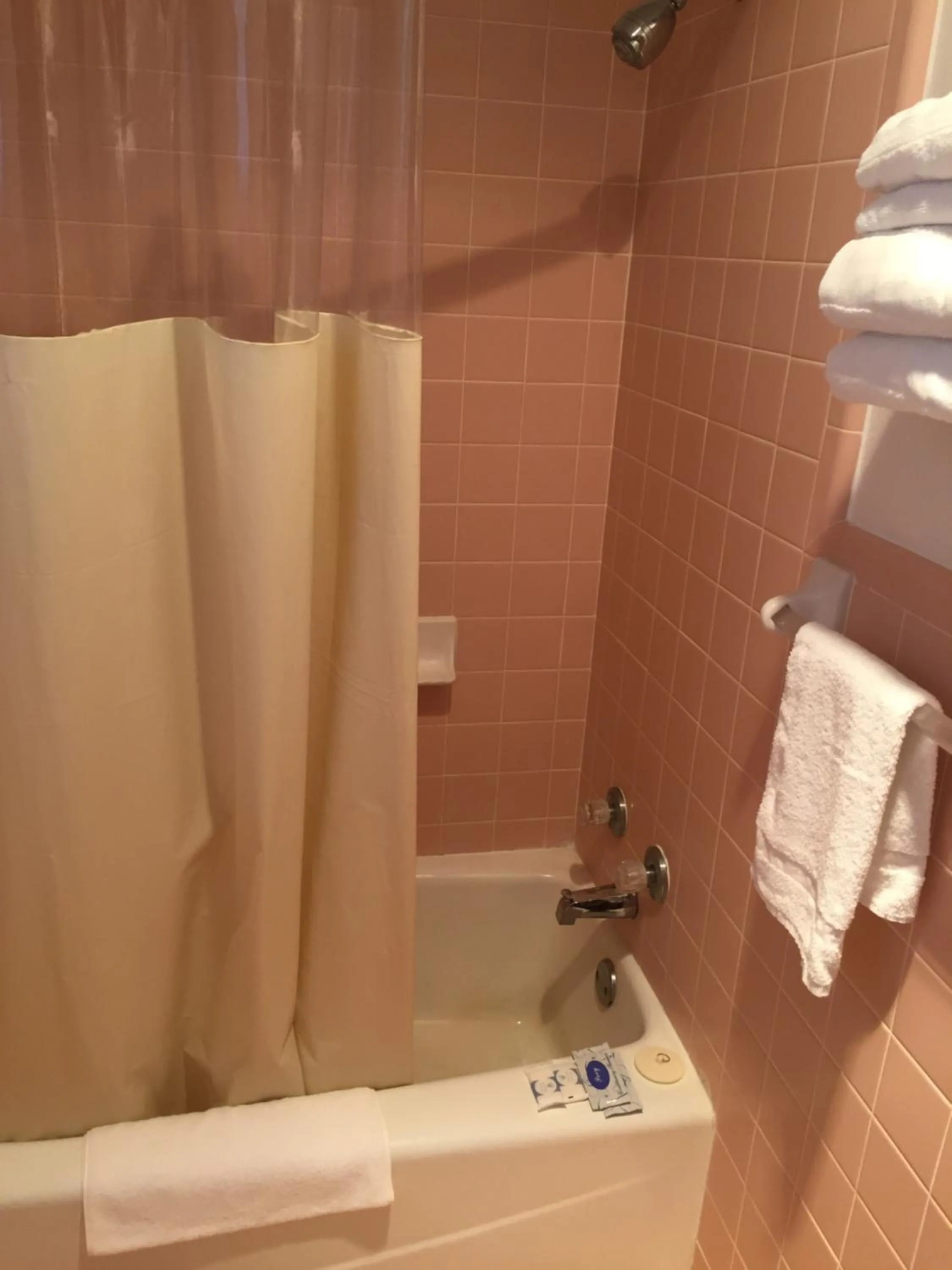 Other in The Oak Motel