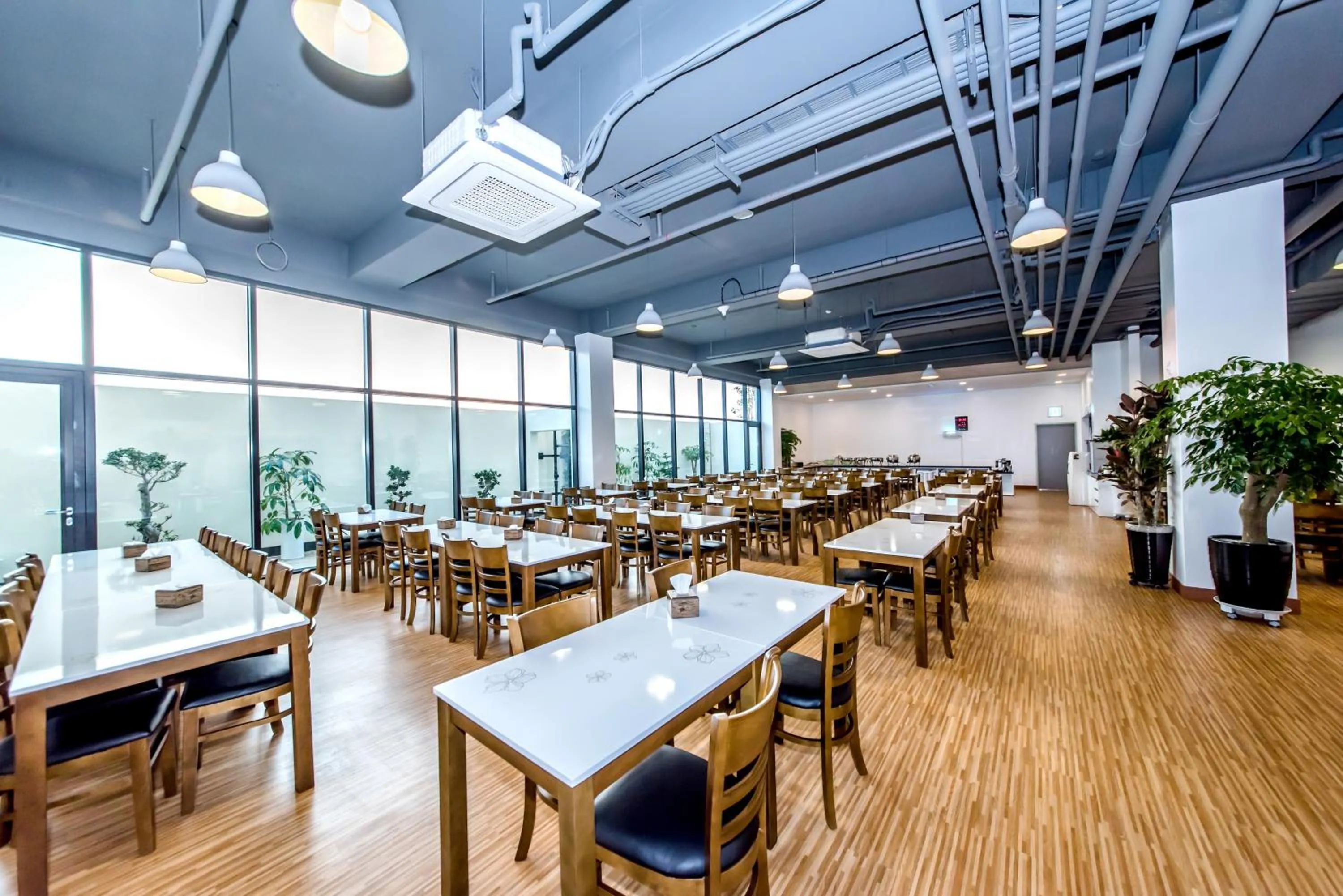 Restaurant/places to eat in Jeju In Hotel