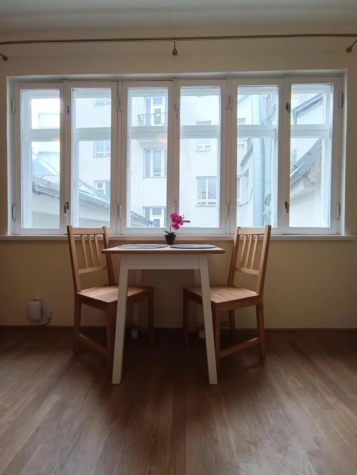 Dining area in Viru Backpackers Hostel