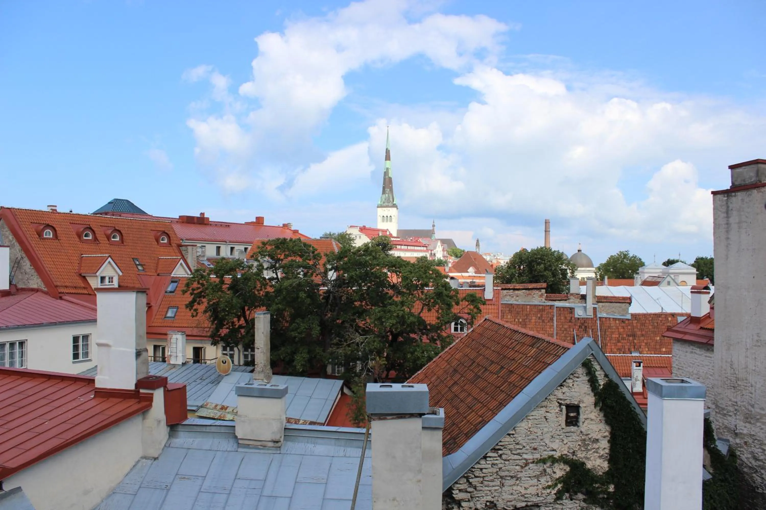 City view in Viru Backpackers Hostel