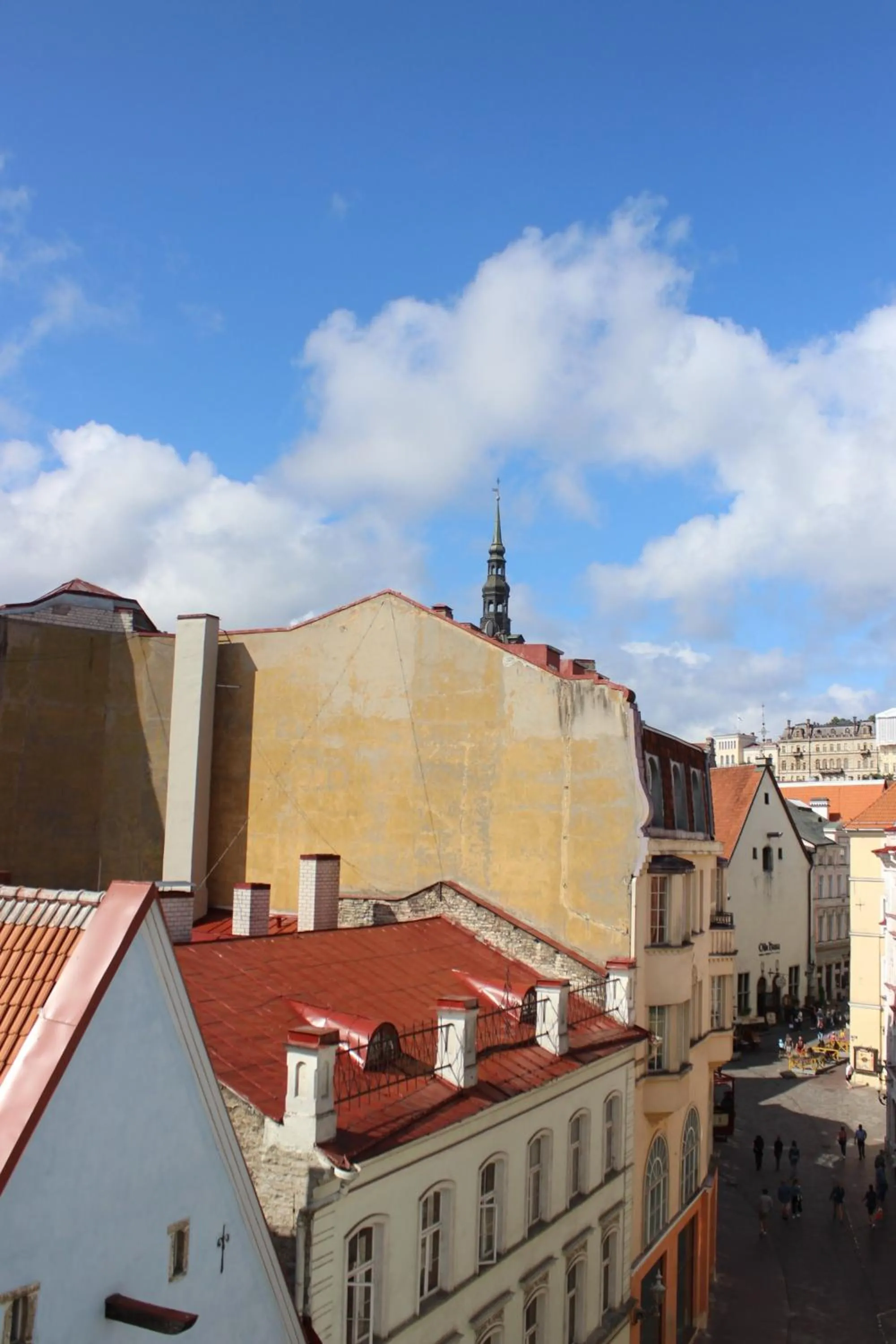 City view in Viru Backpackers Hostel