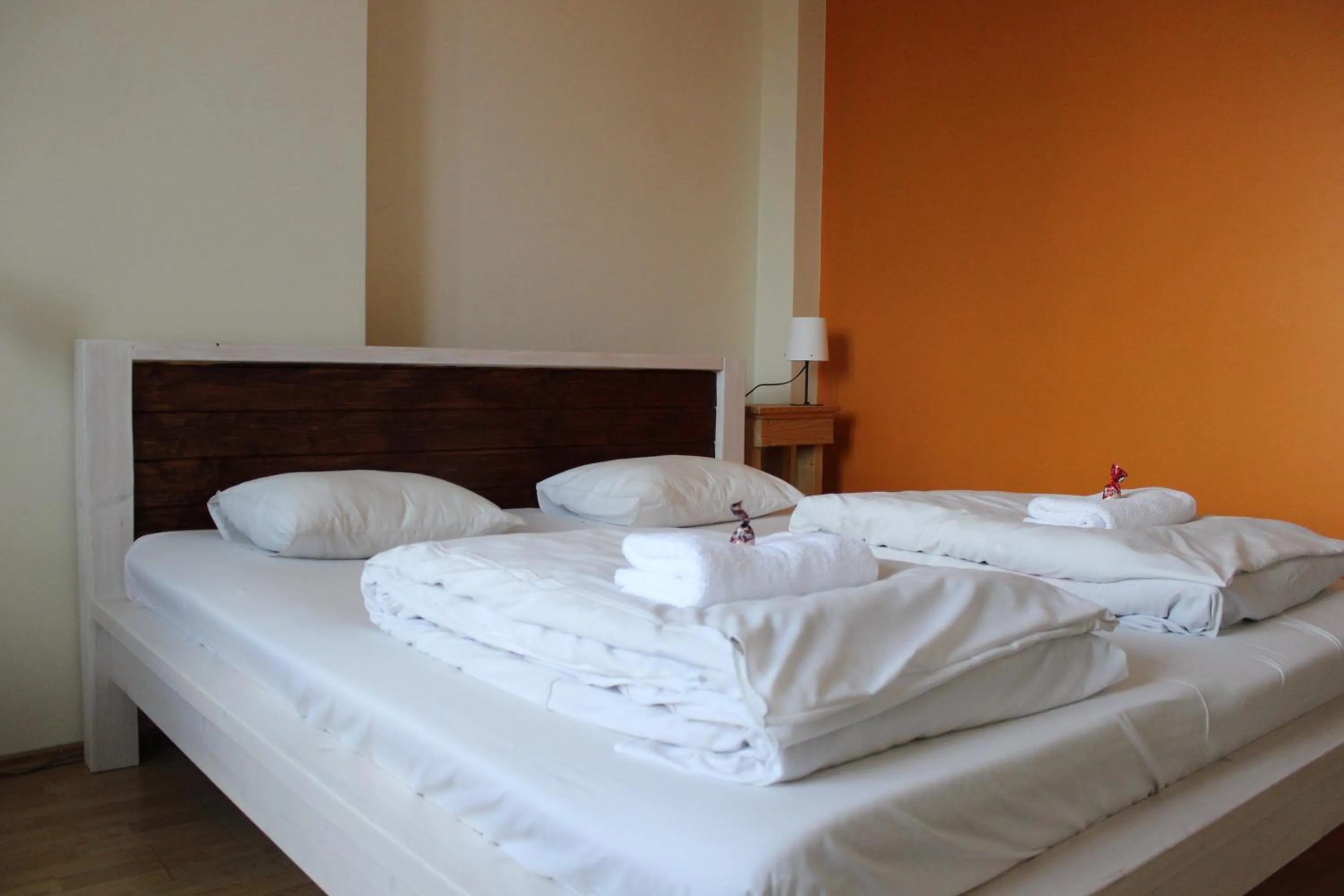 Bed in Viru Backpackers Hostel