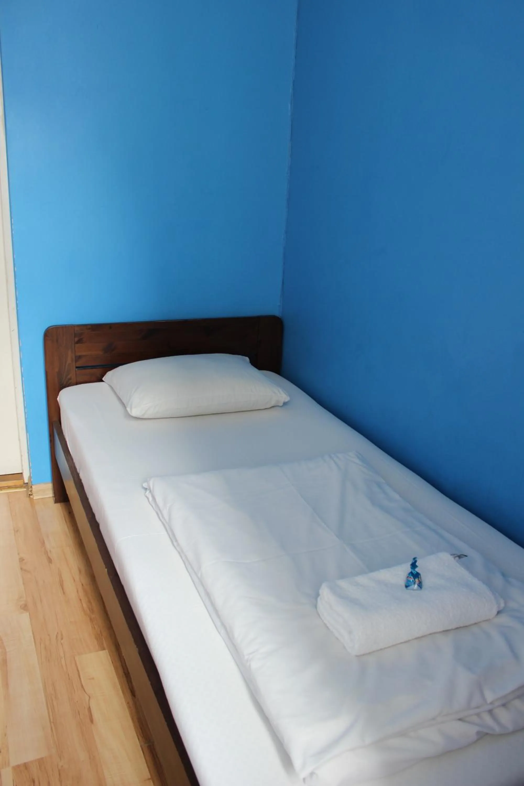 Bed in Viru Backpackers Hostel