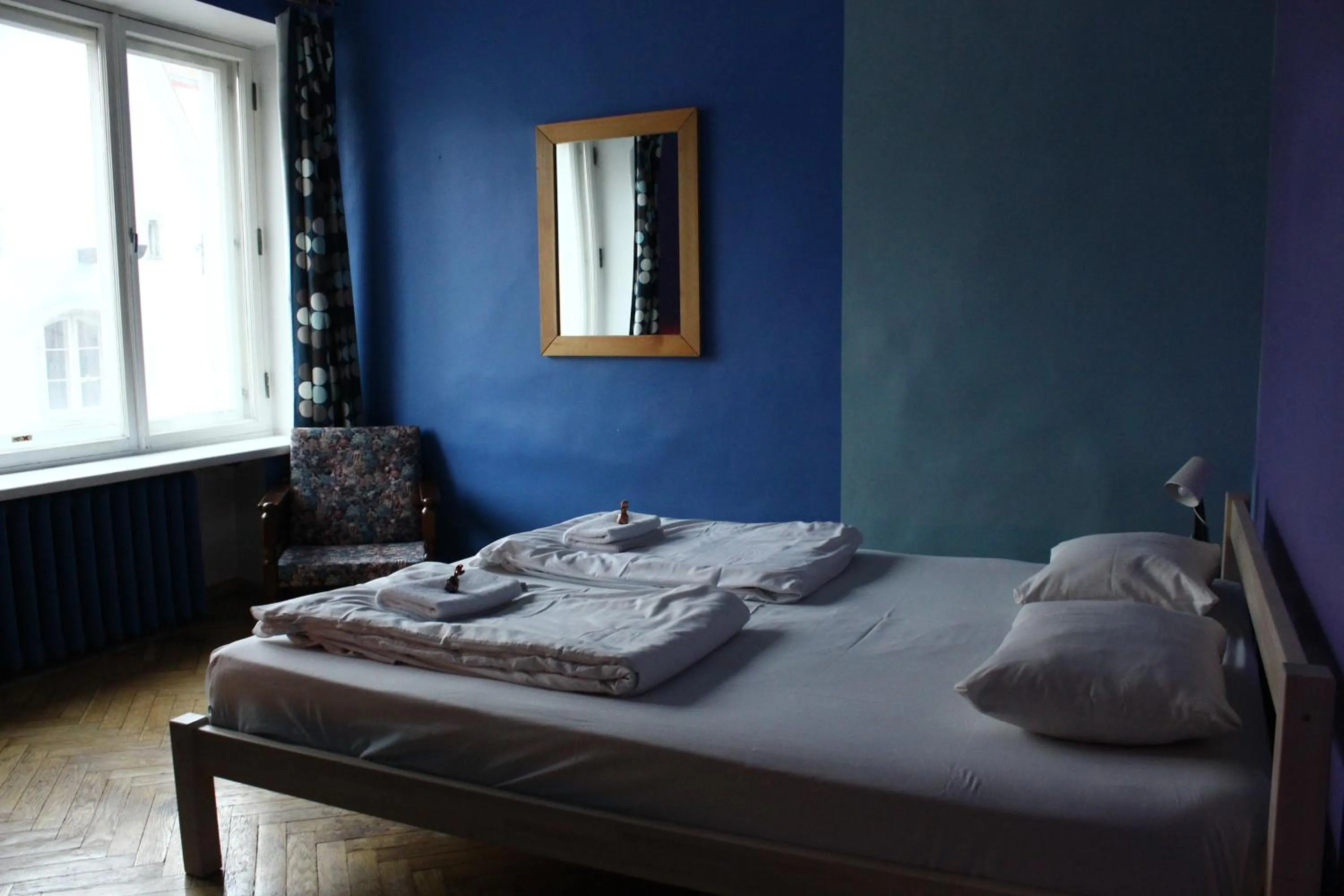 Bed in Viru Backpackers Hostel