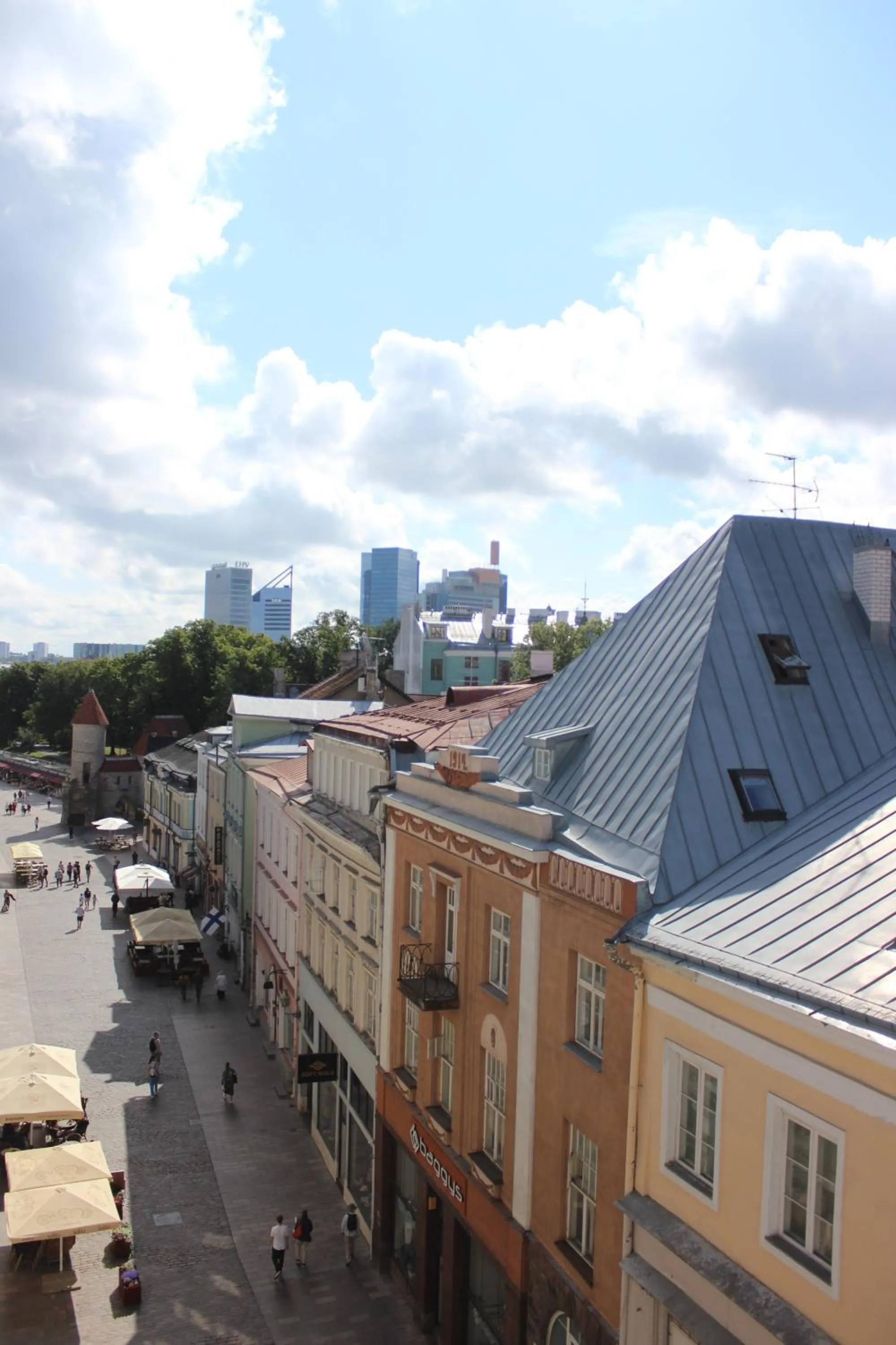 Neighbourhood in Viru Backpackers Hostel