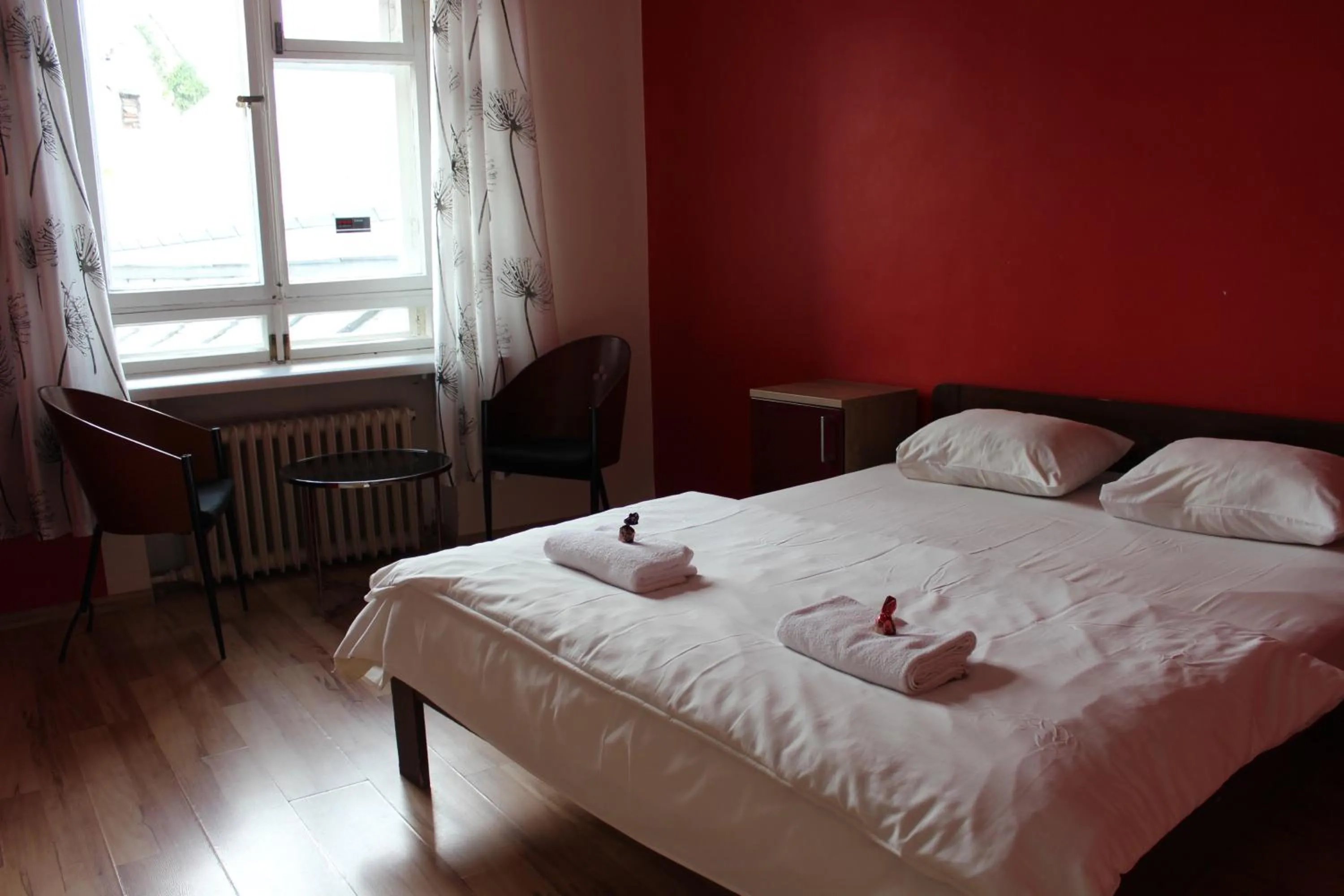 Bed in Viru Backpackers Hostel