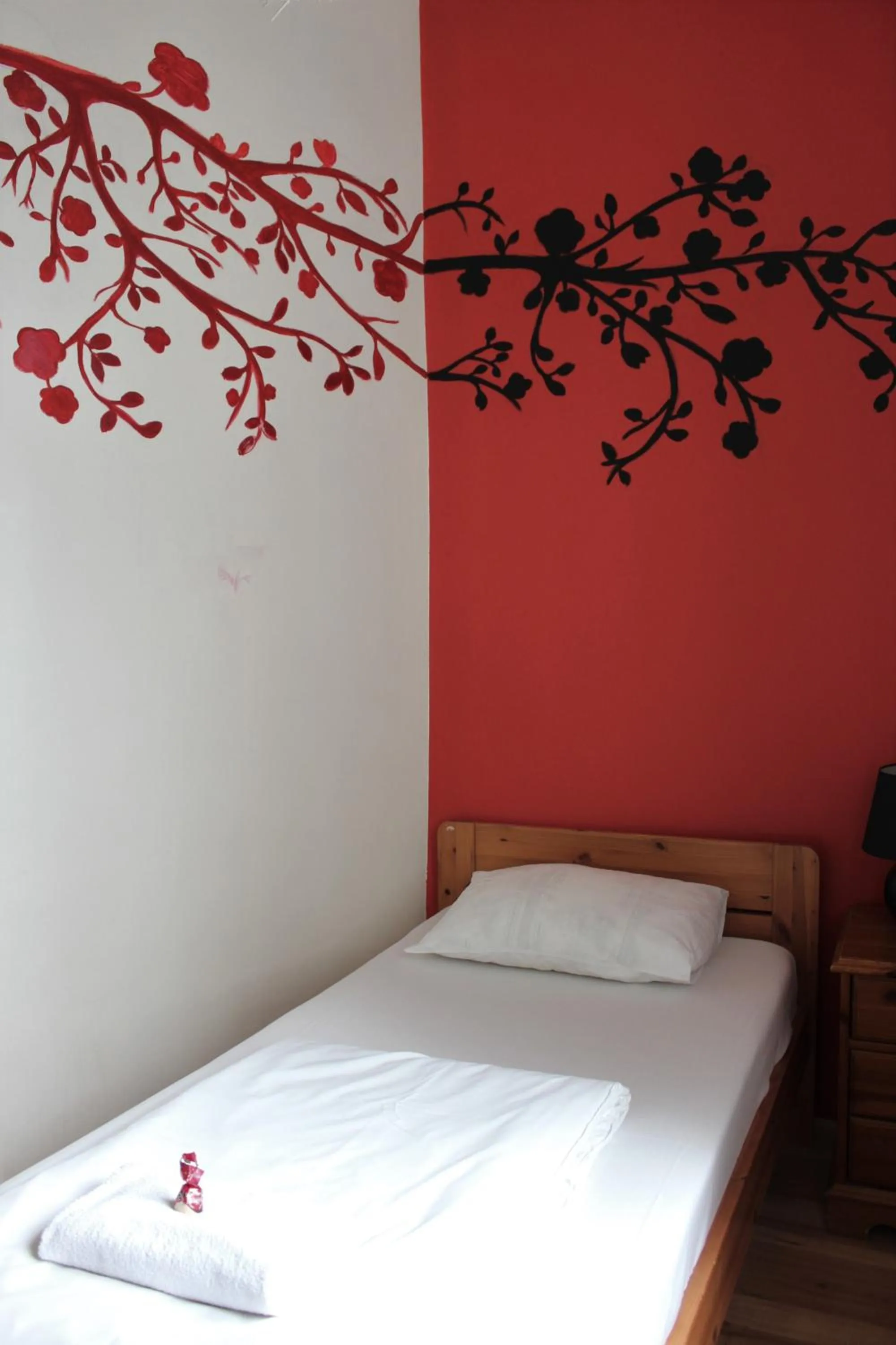 Bed in Viru Backpackers Hostel