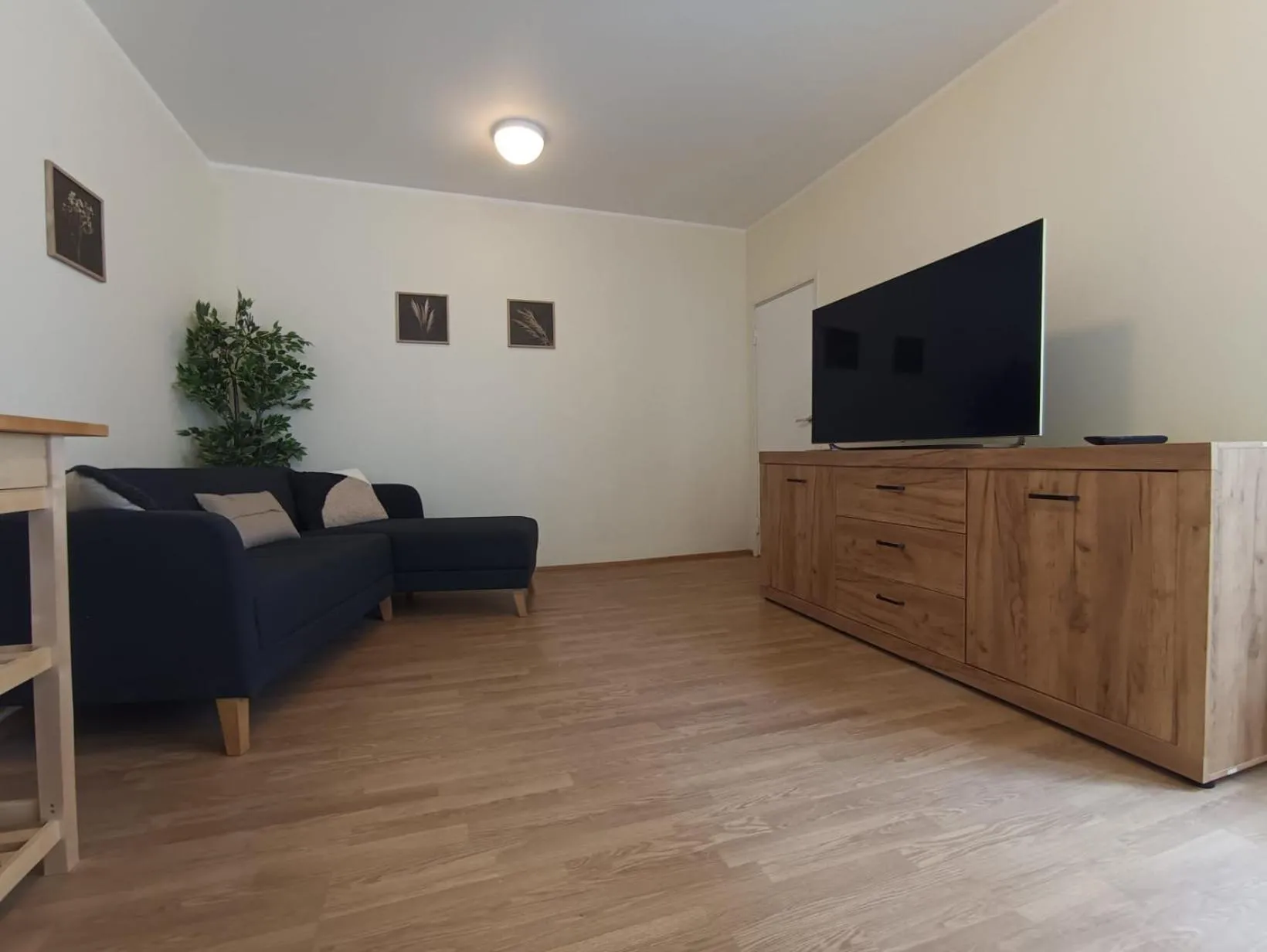 Communal lounge/ TV room in Viru Backpackers Hostel