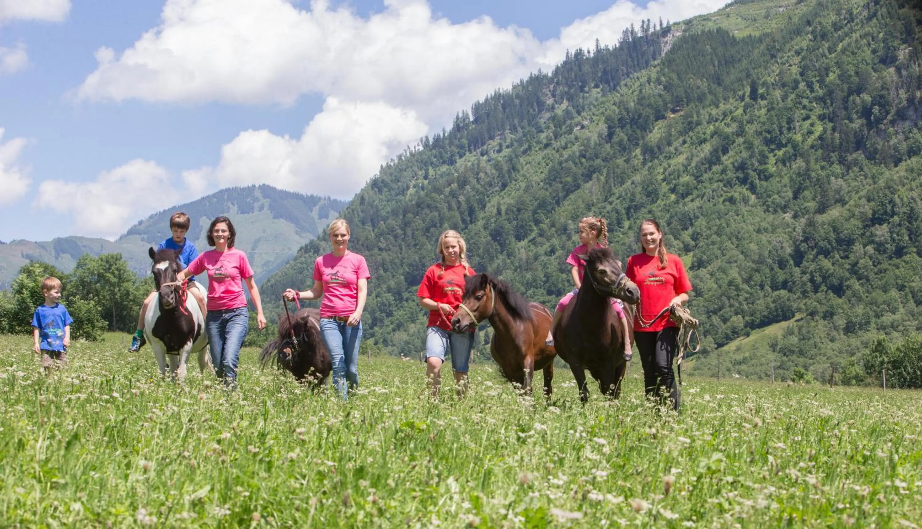 Day in Feriendorf Ponyhof
