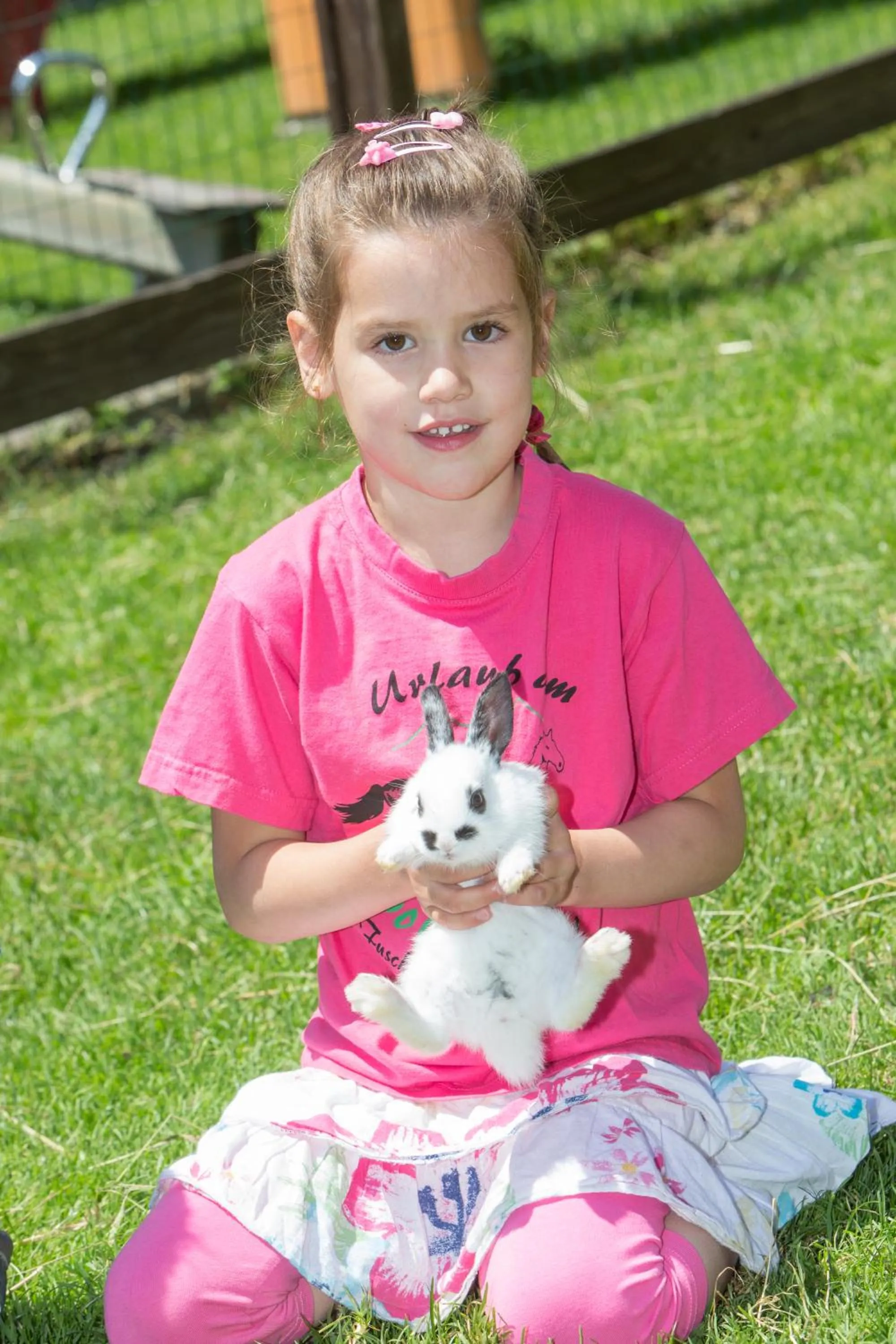 Animals in Feriendorf Ponyhof