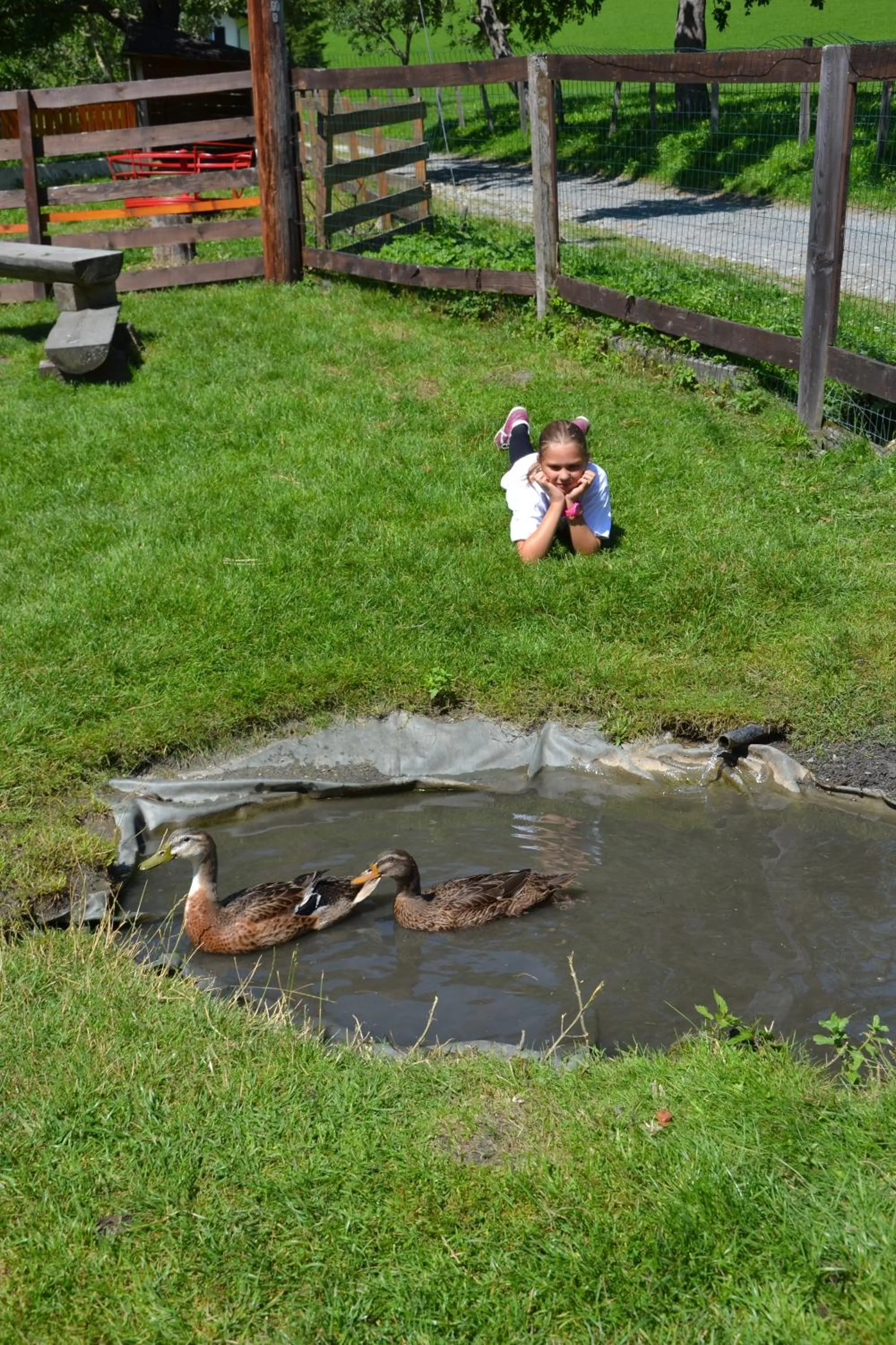 Day in Feriendorf Ponyhof