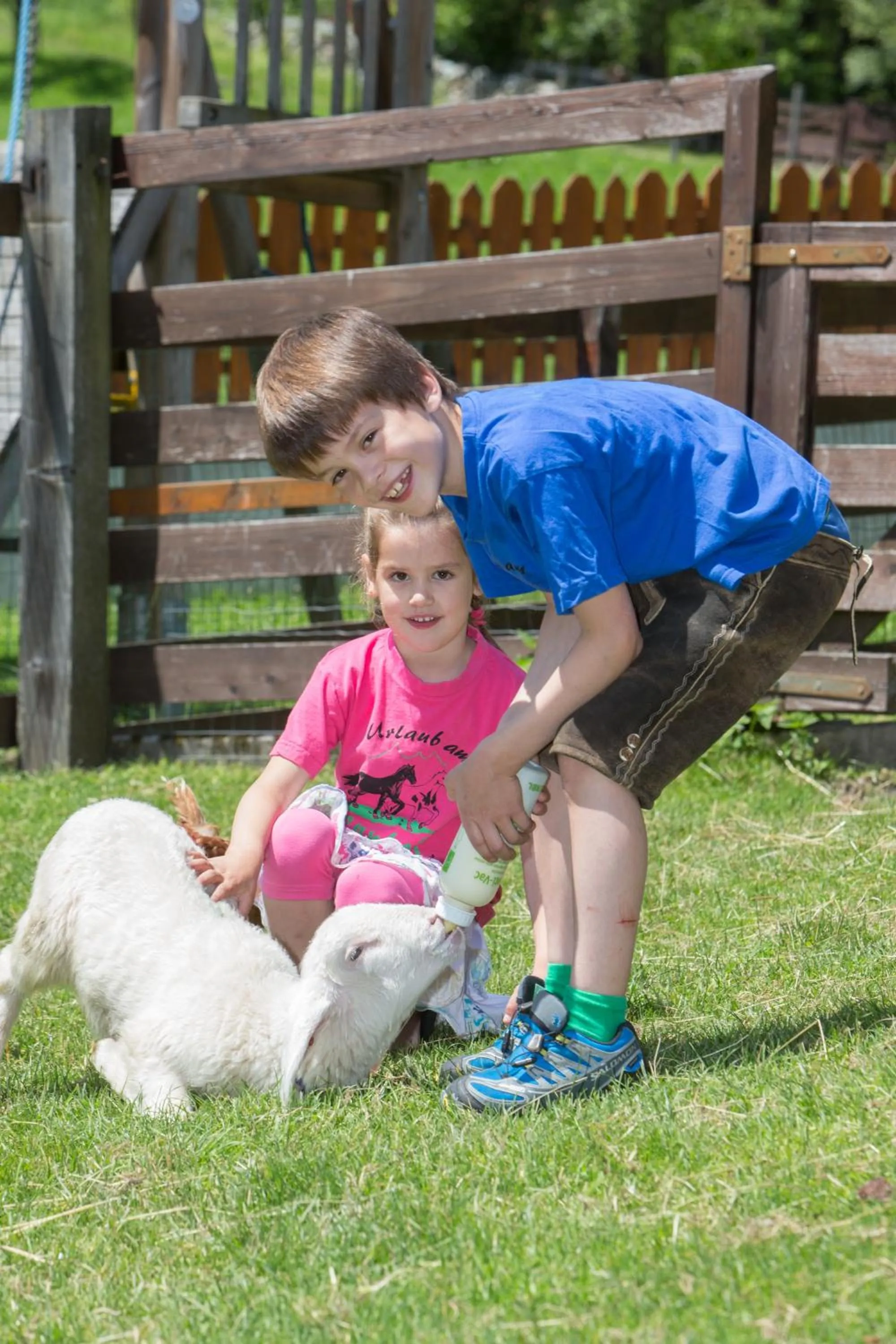 Animals in Feriendorf Ponyhof