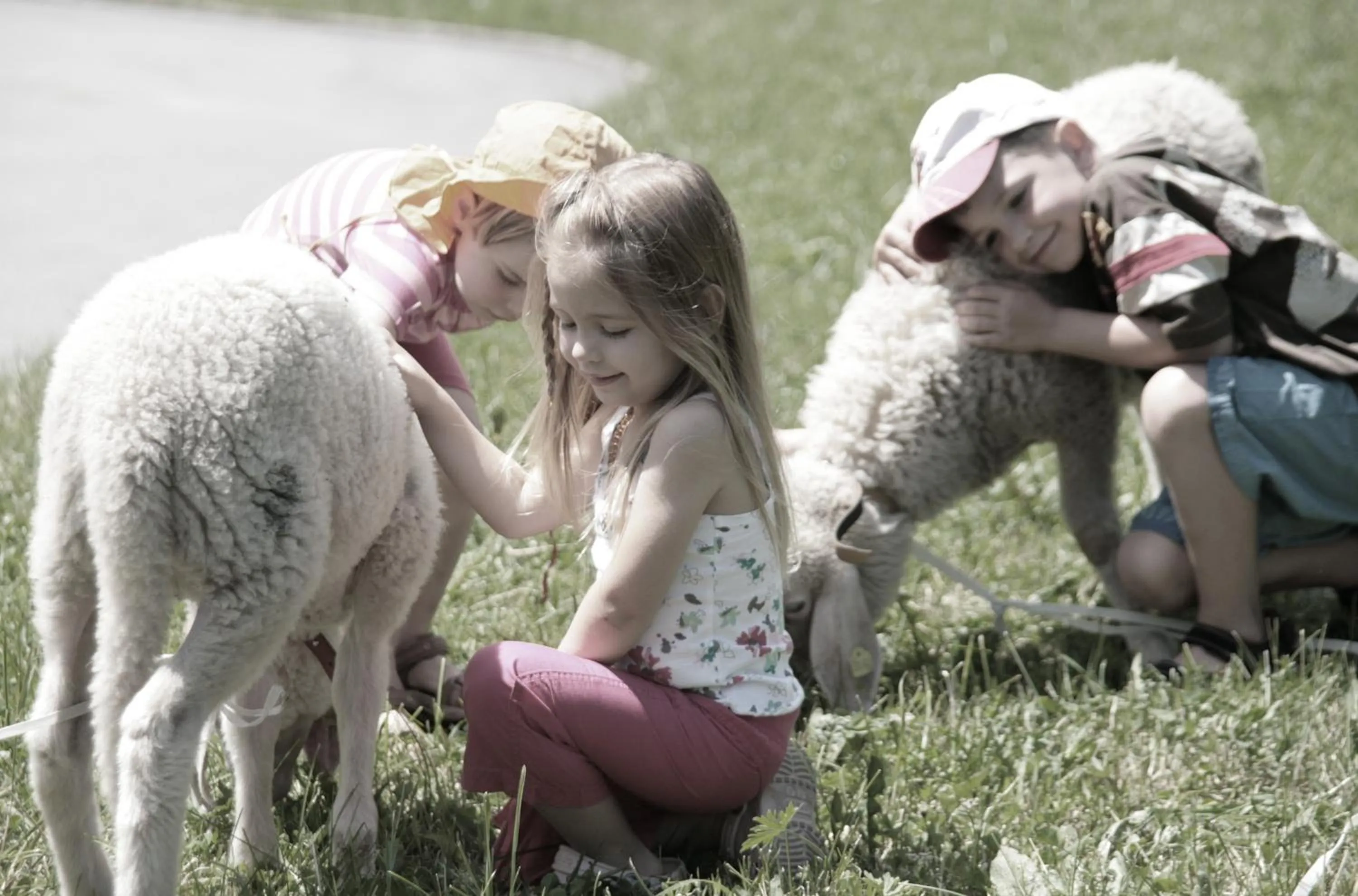 Animals in Feriendorf Ponyhof