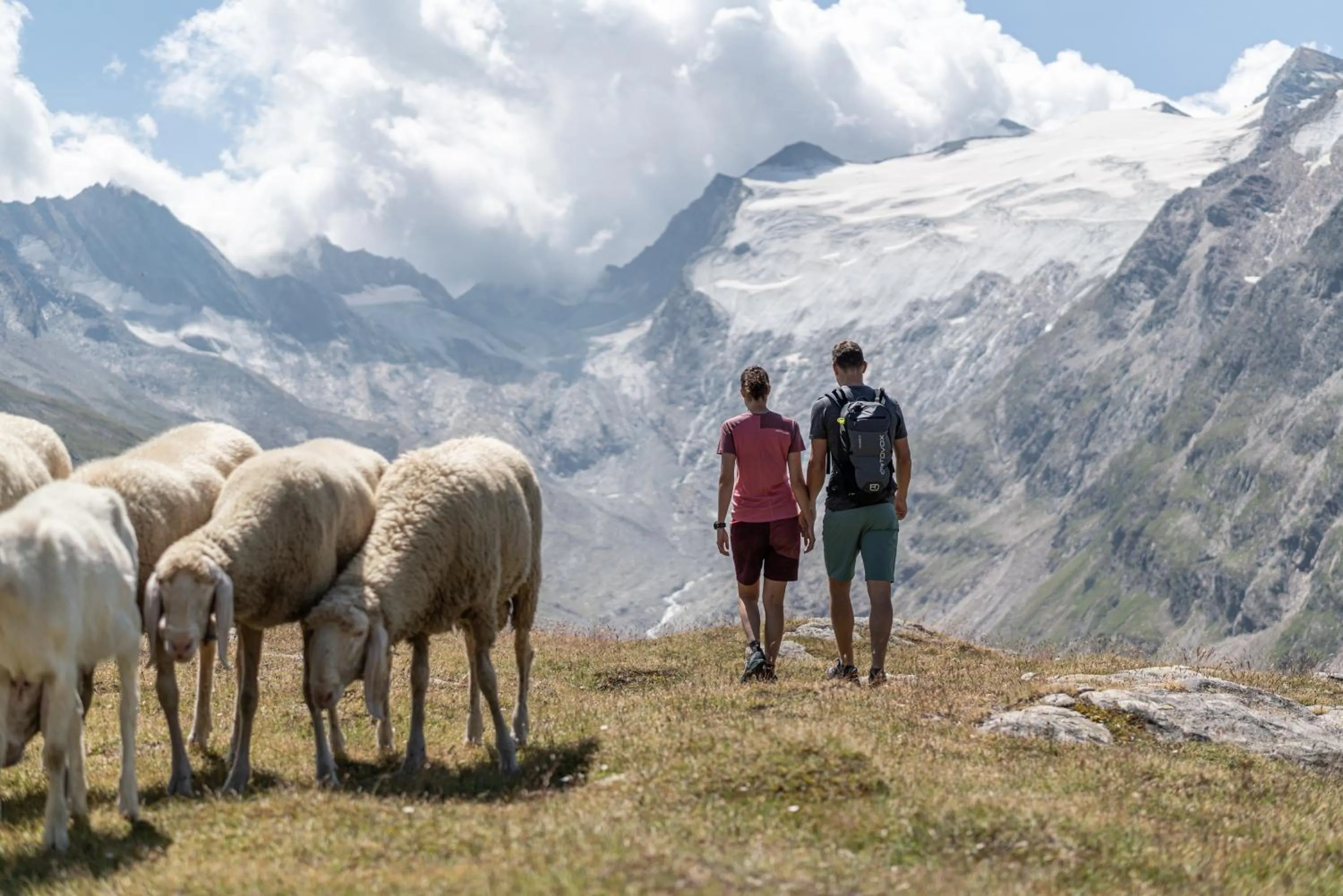 Natural landscape in Aktivhotel Waldhof