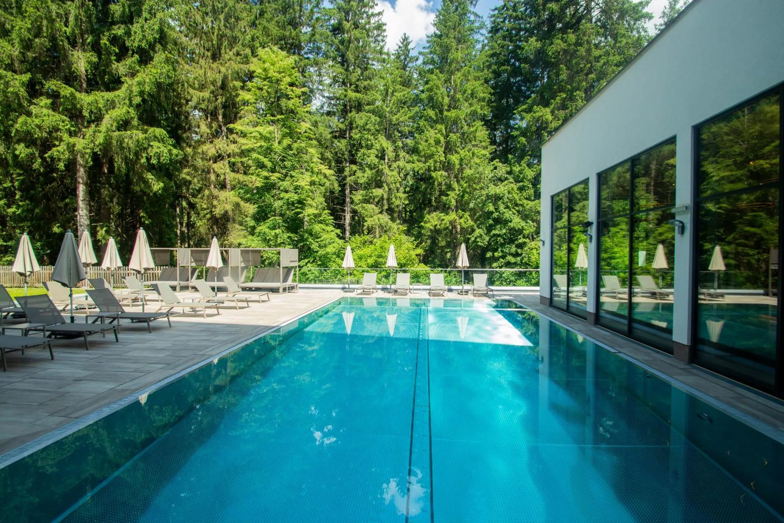 Pool view in Aktivhotel Waldhof