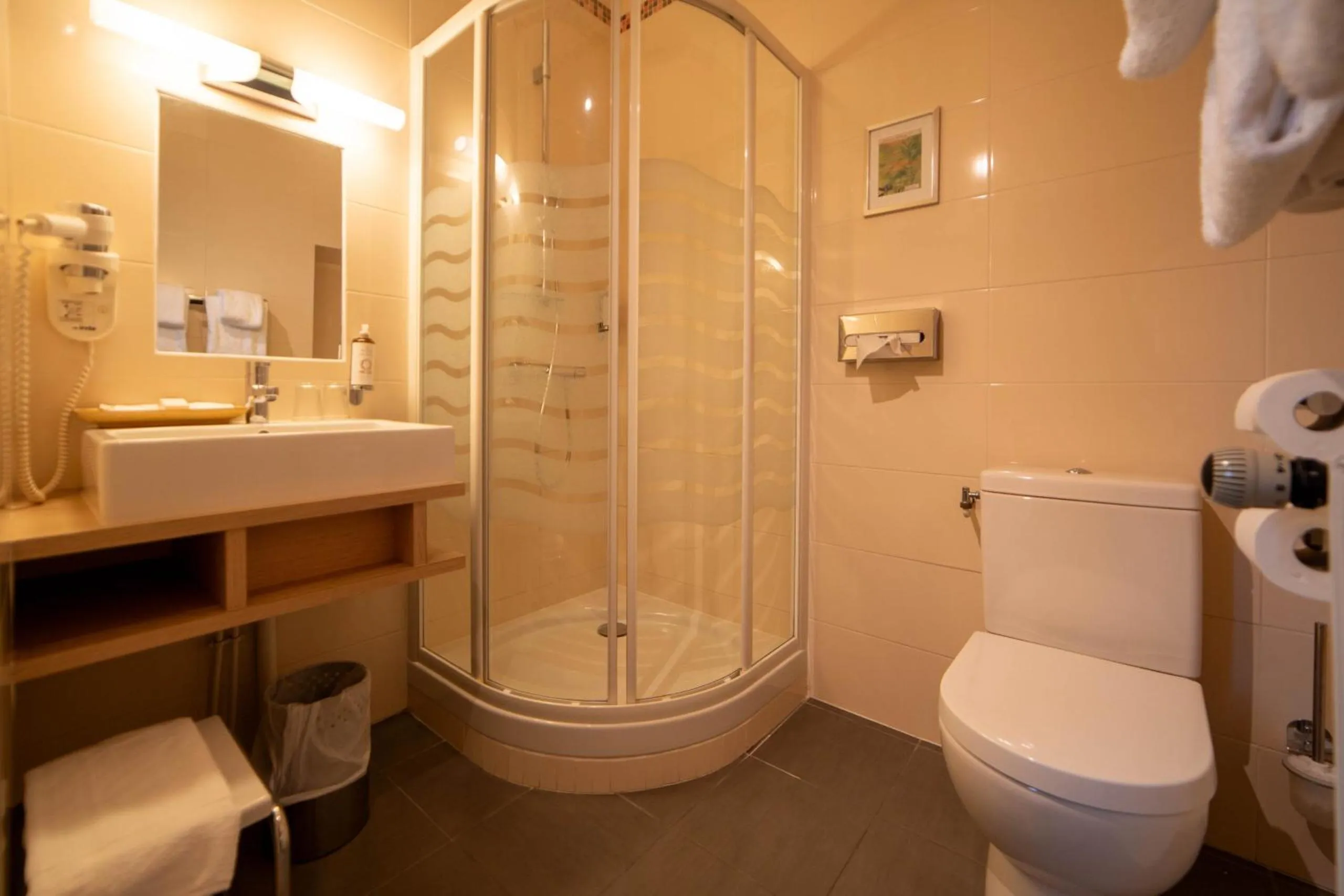 Shower in Hôtel Wilson - Teritoria