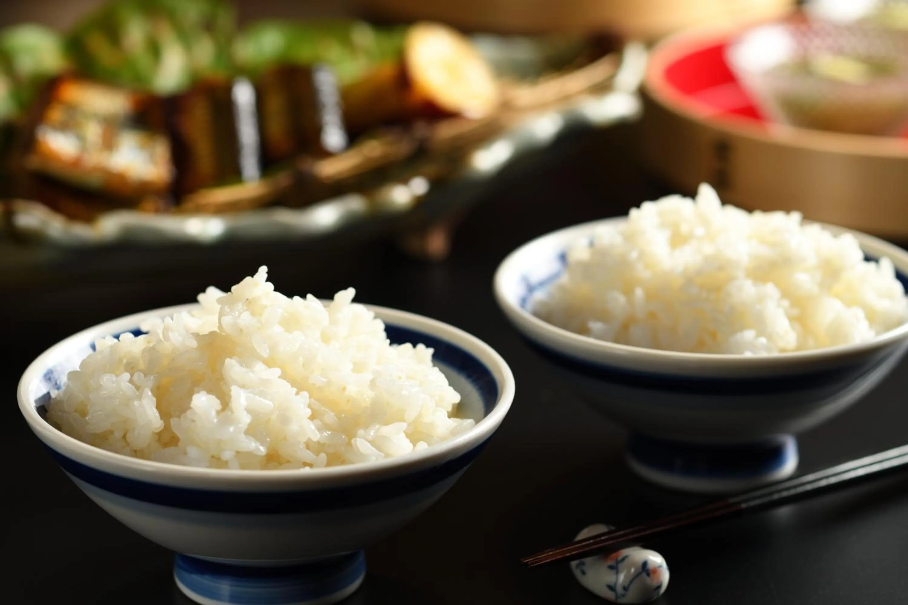Food in Plaza Hotel Sanrokuso