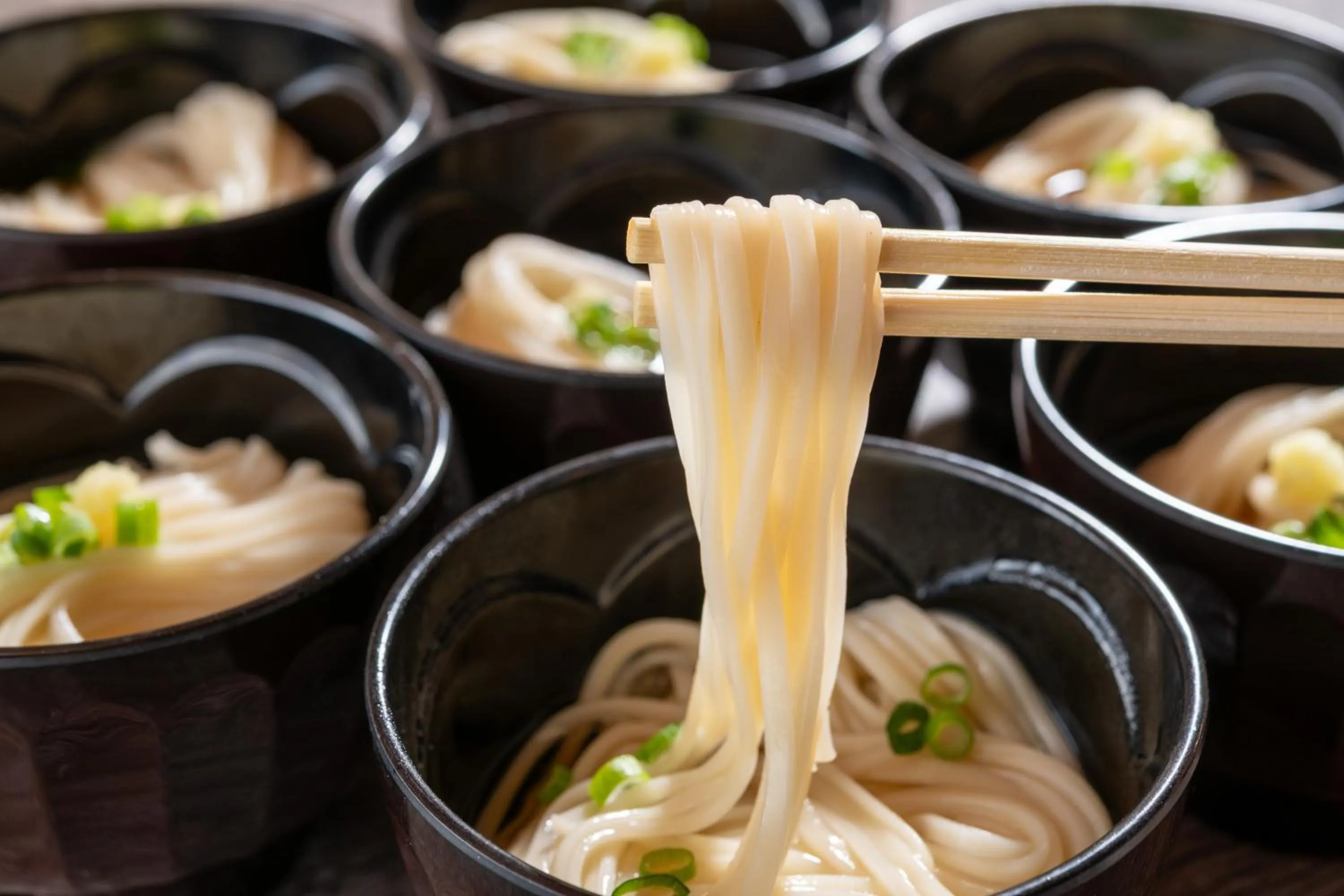 Food in KAMENOI HOTEL Tazawako