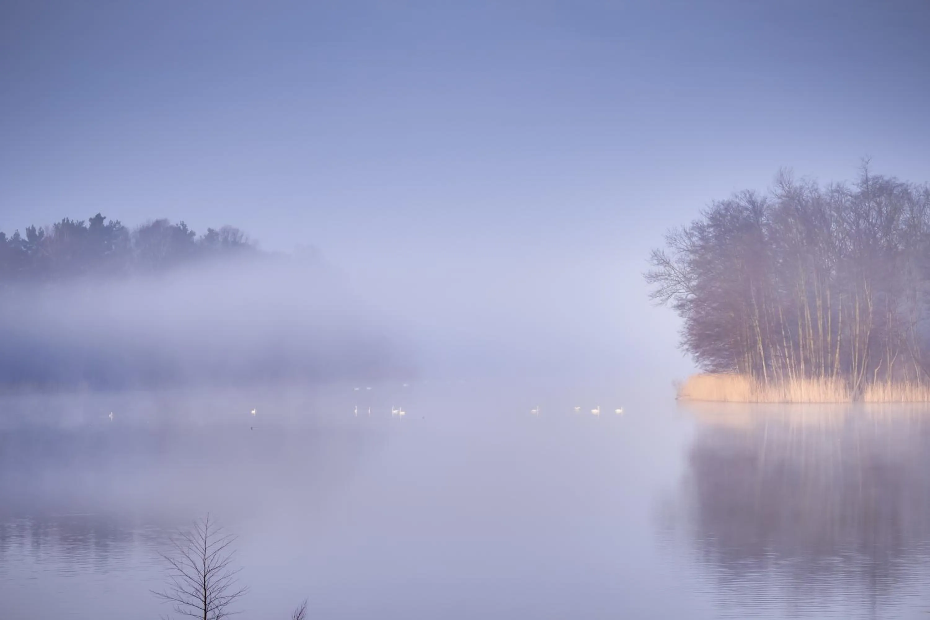 Natural landscape in Seehotel Luisenhof