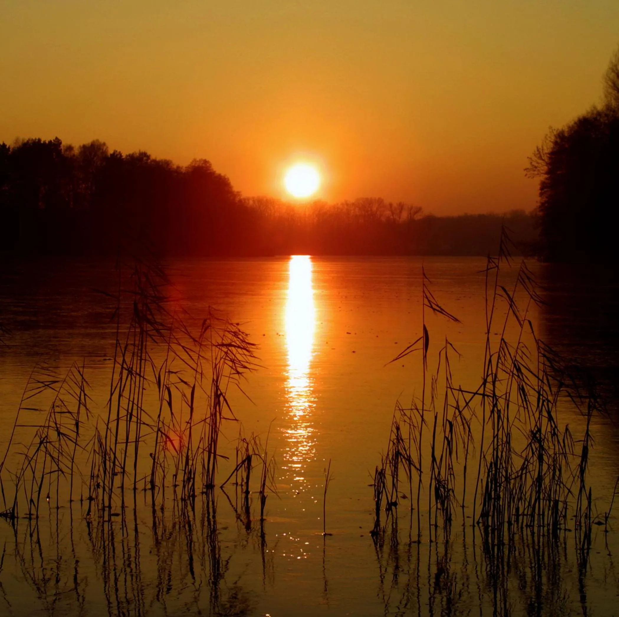 Lake view in Seehotel Luisenhof