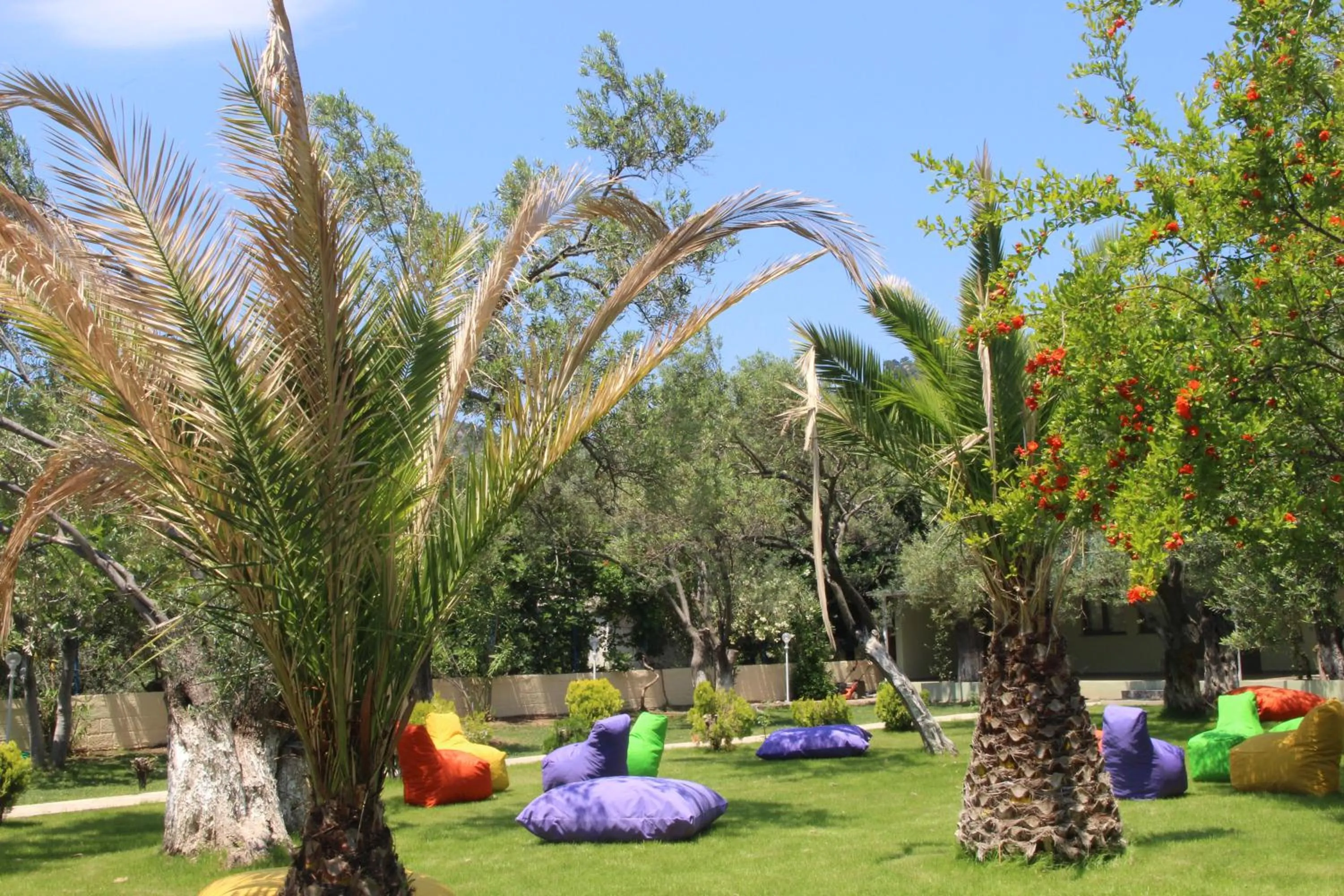 Garden in Kayalar Blue Beach Hotel