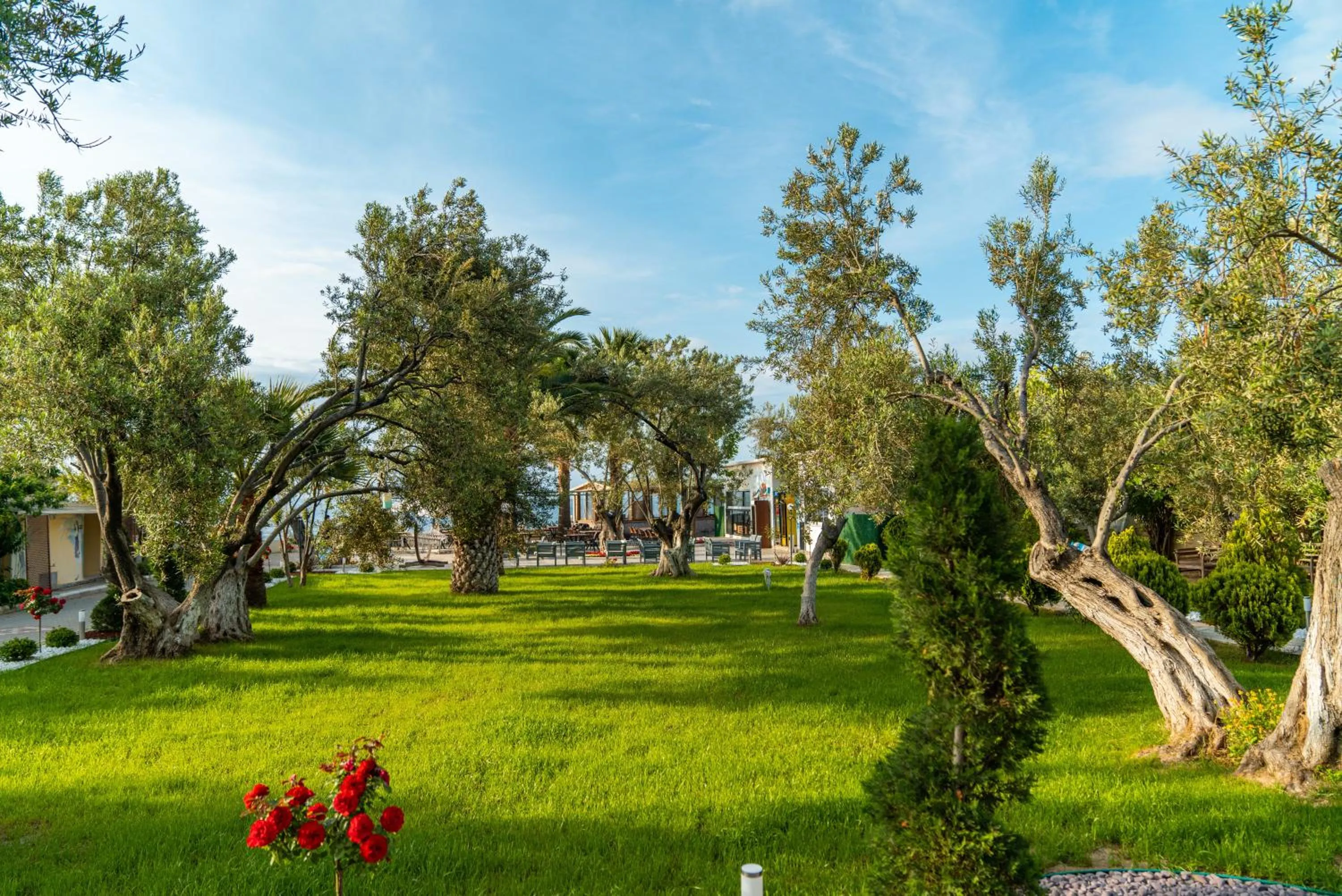 Garden in Kayalar Blue Beach Hotel