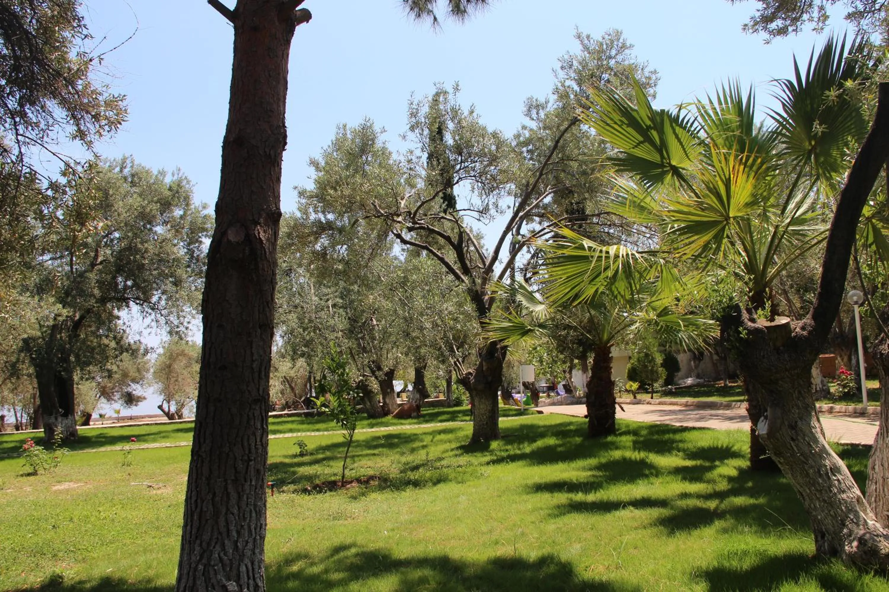Garden in Kayalar Blue Beach Hotel