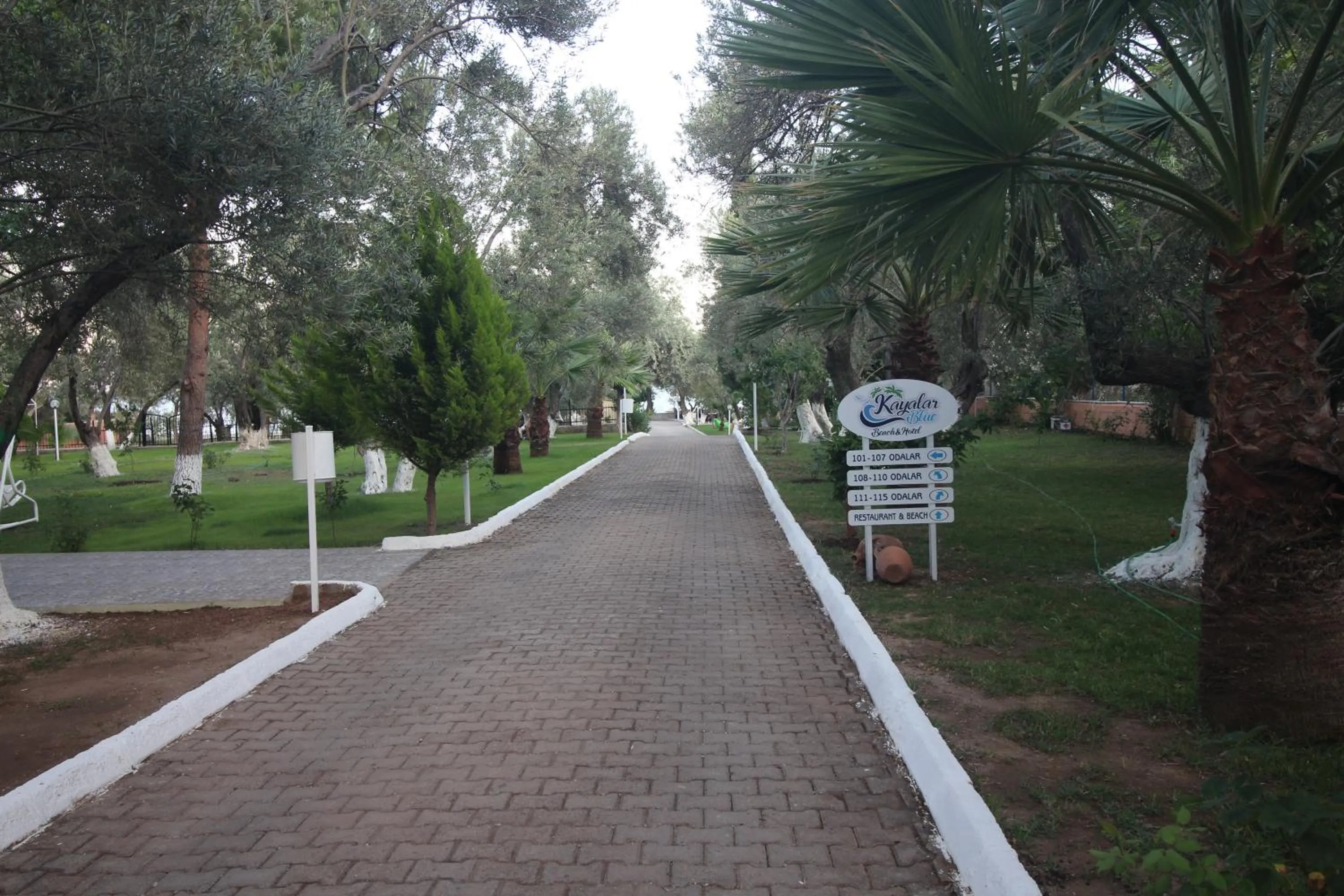 Garden in Kayalar Blue Beach Hotel