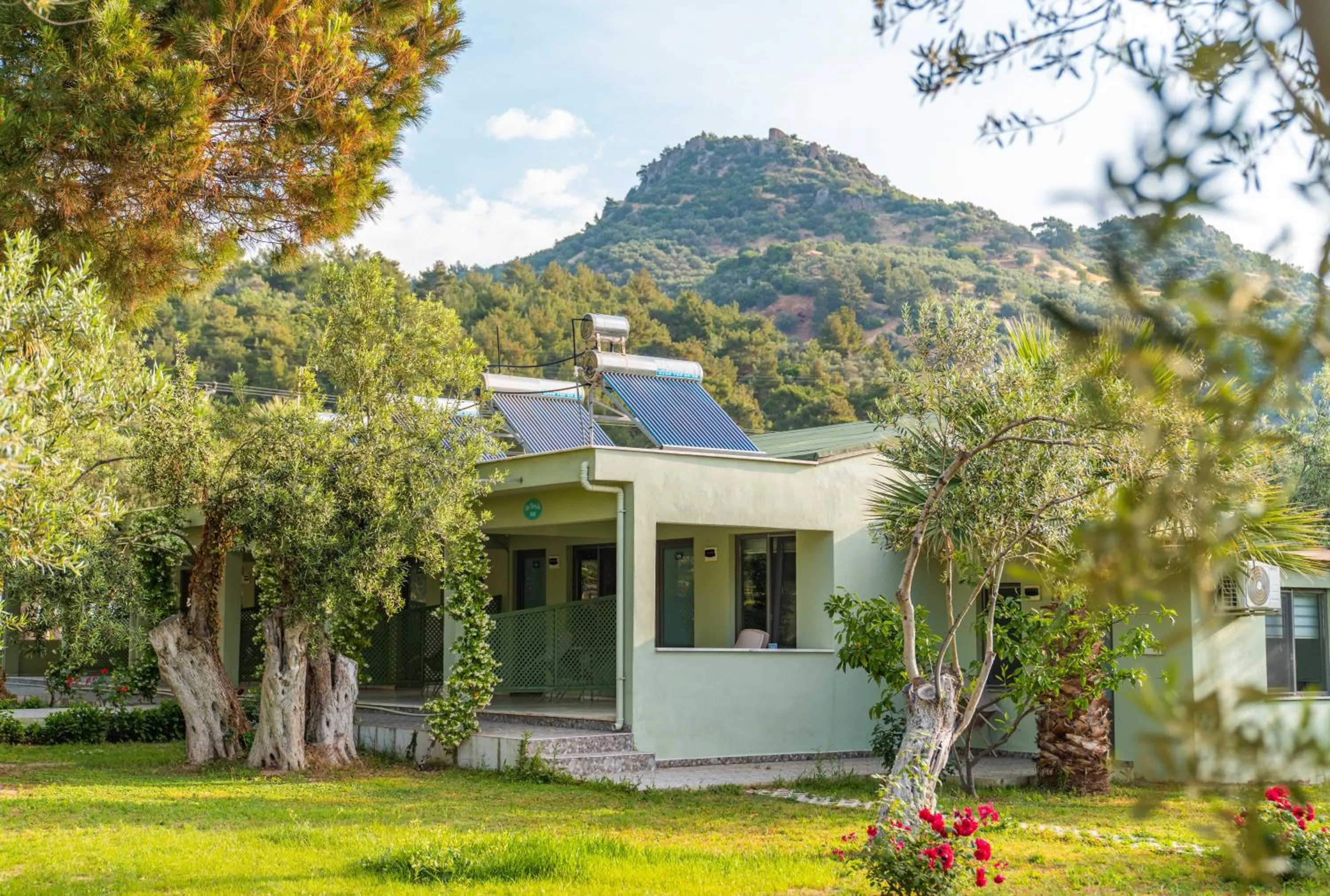 Garden in Kayalar Blue Beach Hotel