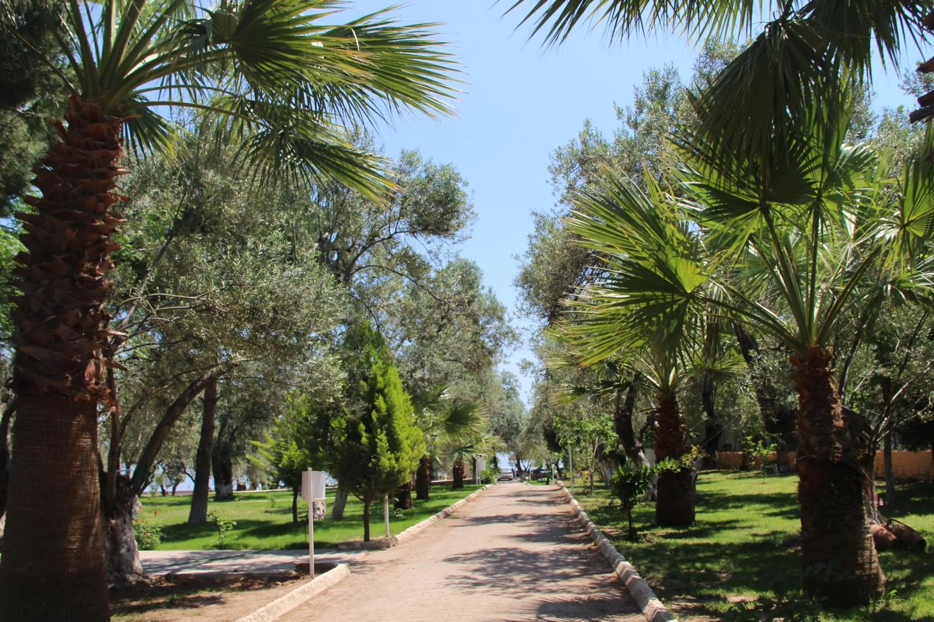 Garden in Kayalar Blue Beach Hotel