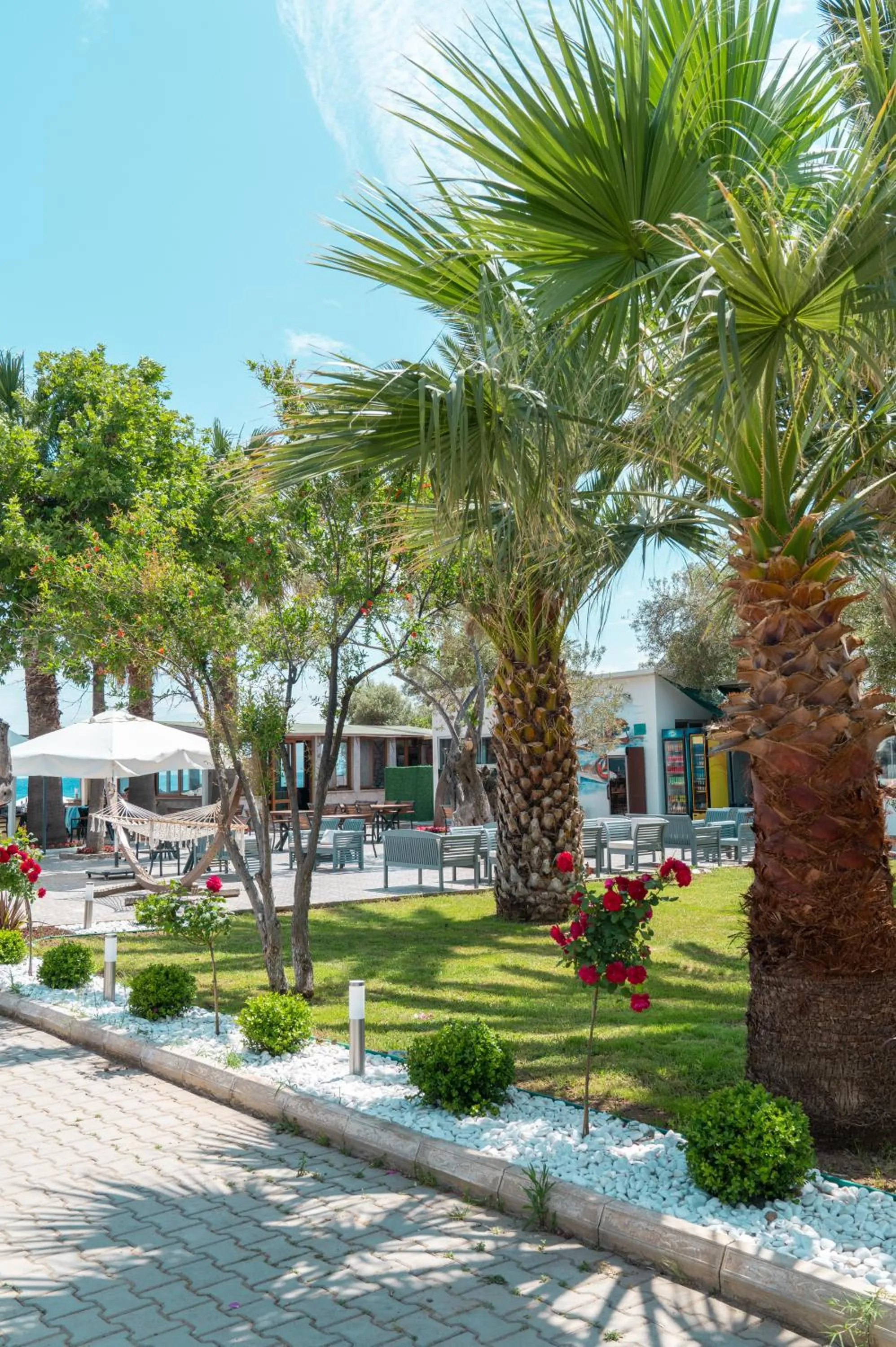 Garden in Kayalar Blue Beach Hotel