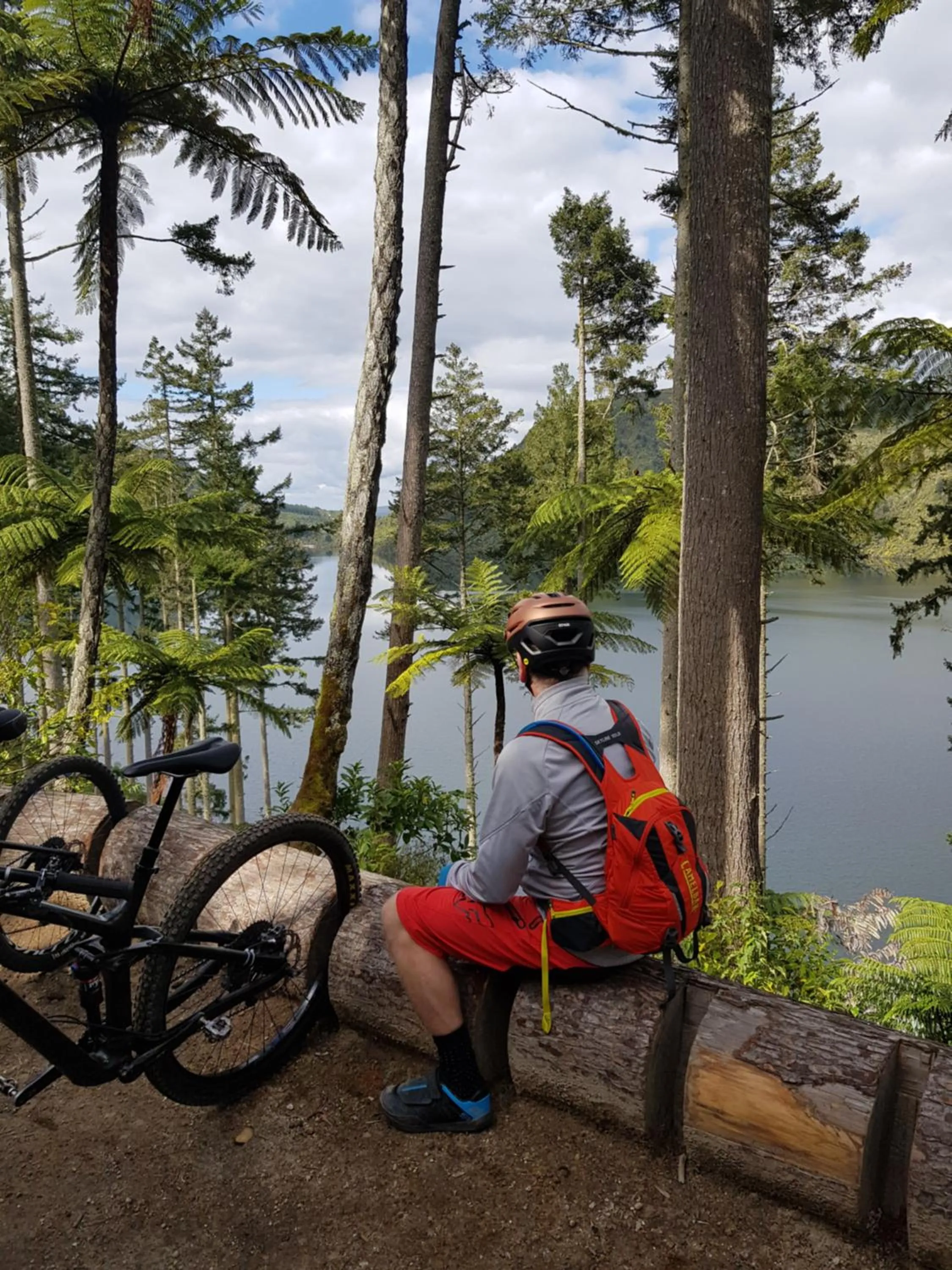 Cycling in Rotorua Views B&B/Apartment