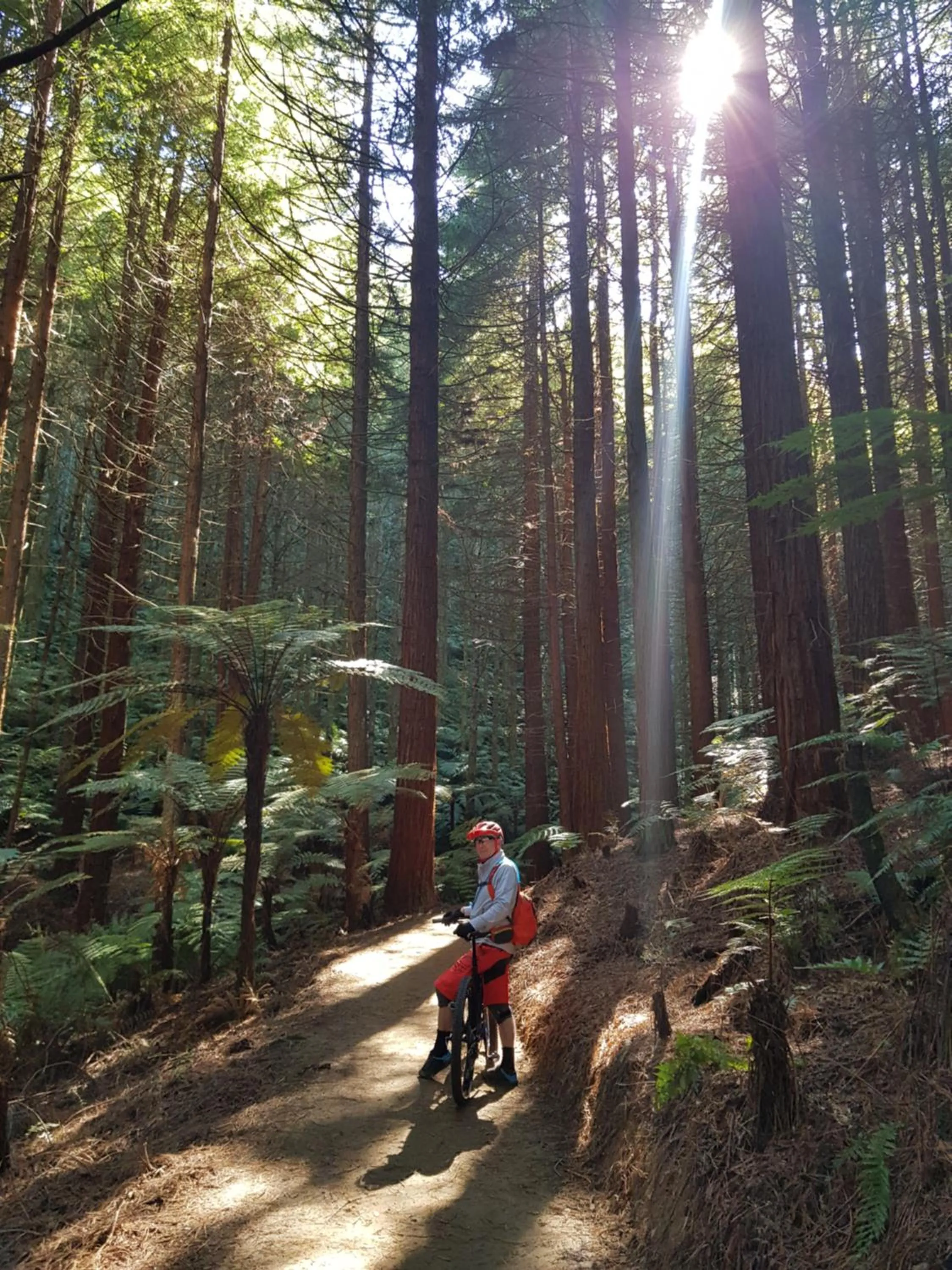 Cycling in Rotorua Views B&B/Apartment