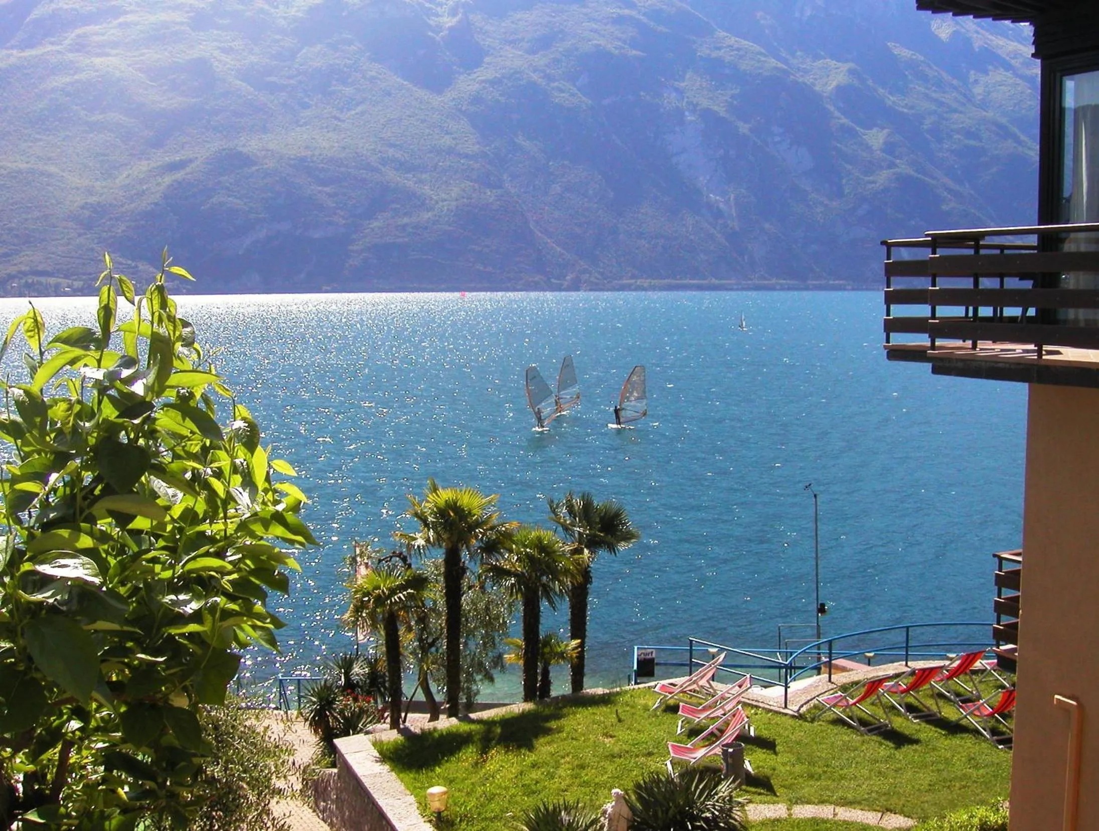 Garden in Surf Hotel Pier - Montagnoli Group