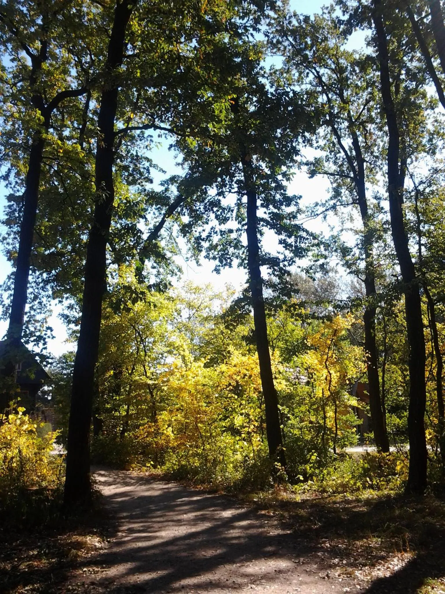 Day in Residence Al Lago