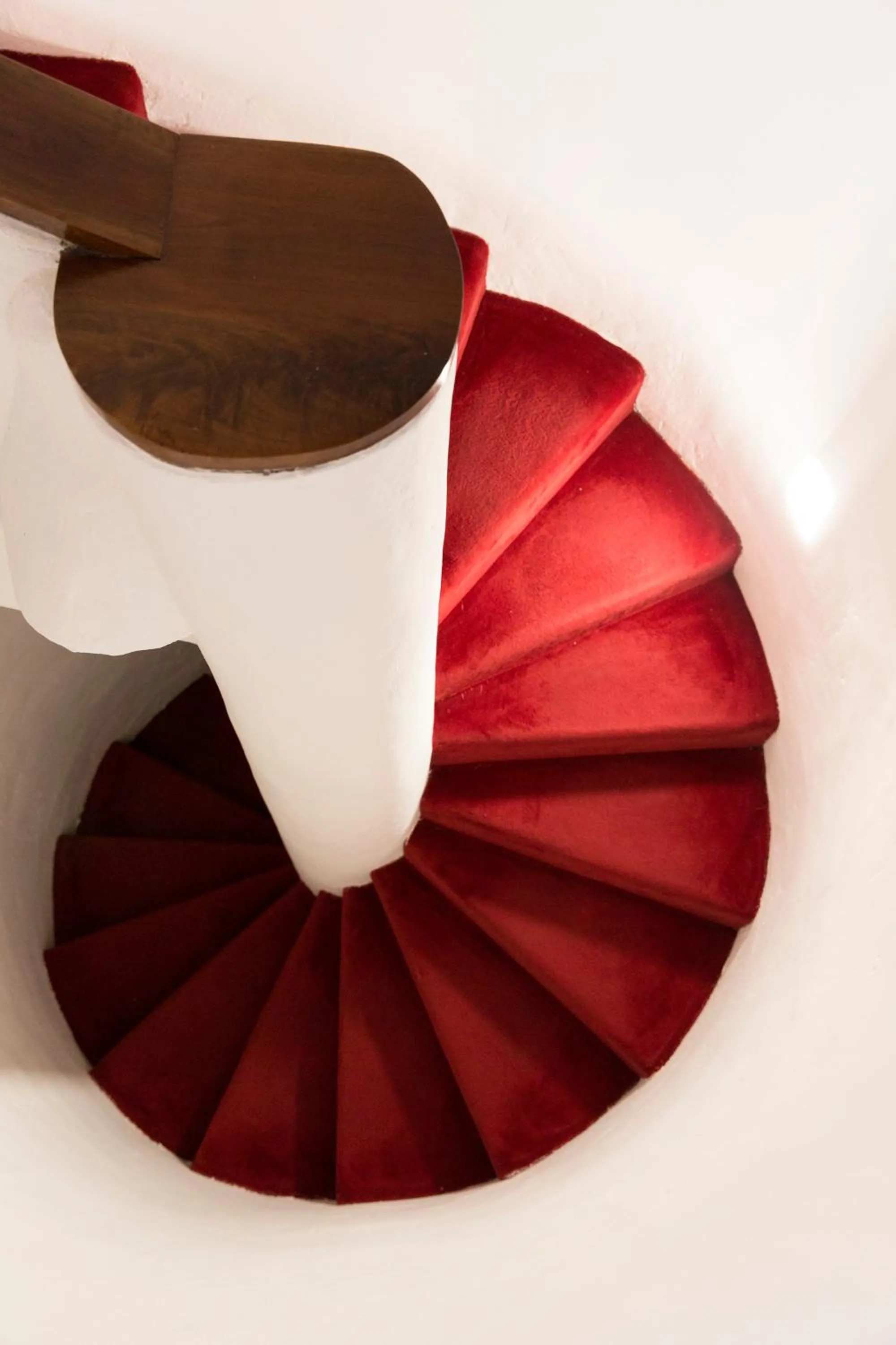 Area and facilities in Hotel Castel Rundegg (Adults Only)