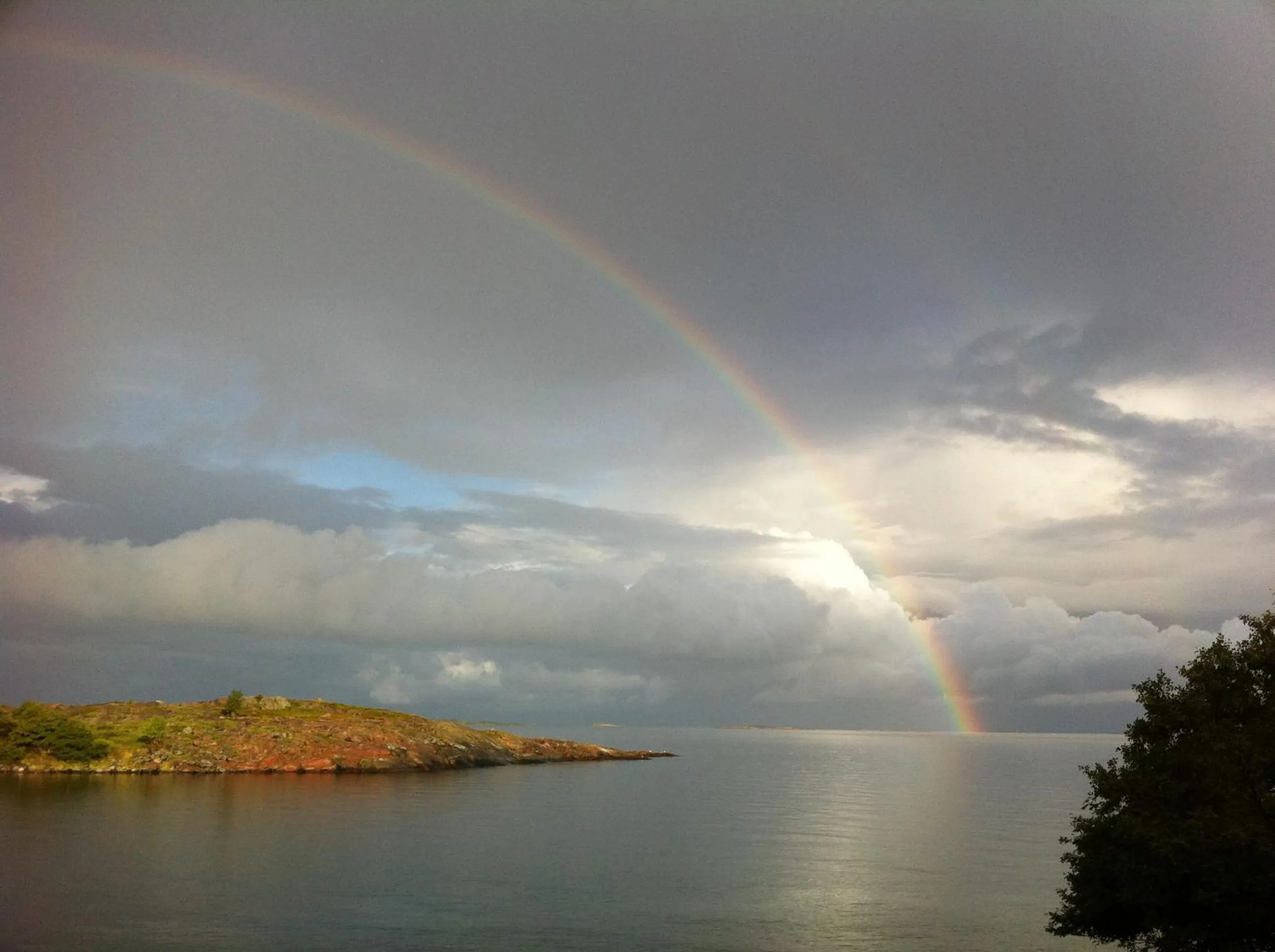 Hotel Nestor & Restaurant Back Pocket