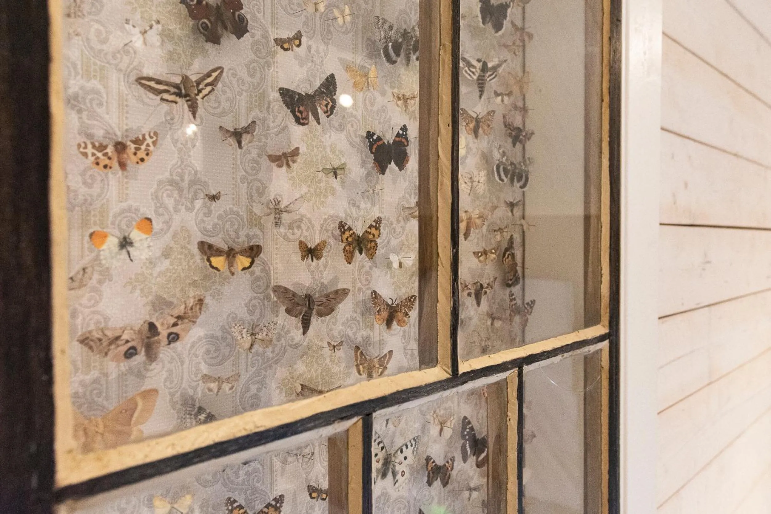 Hotel Nestor & Restaurant Back Pocket