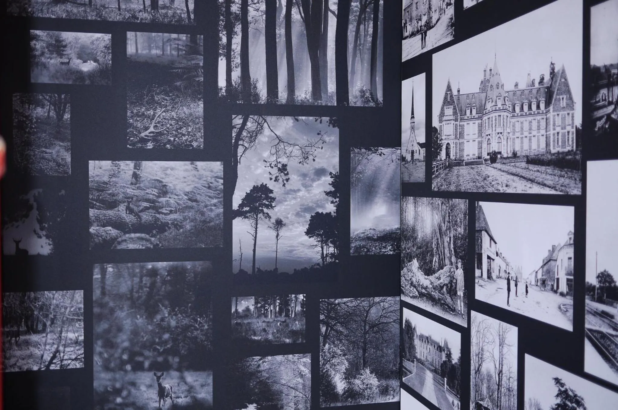 View (from property/room) in Logis Auberge De La Foret